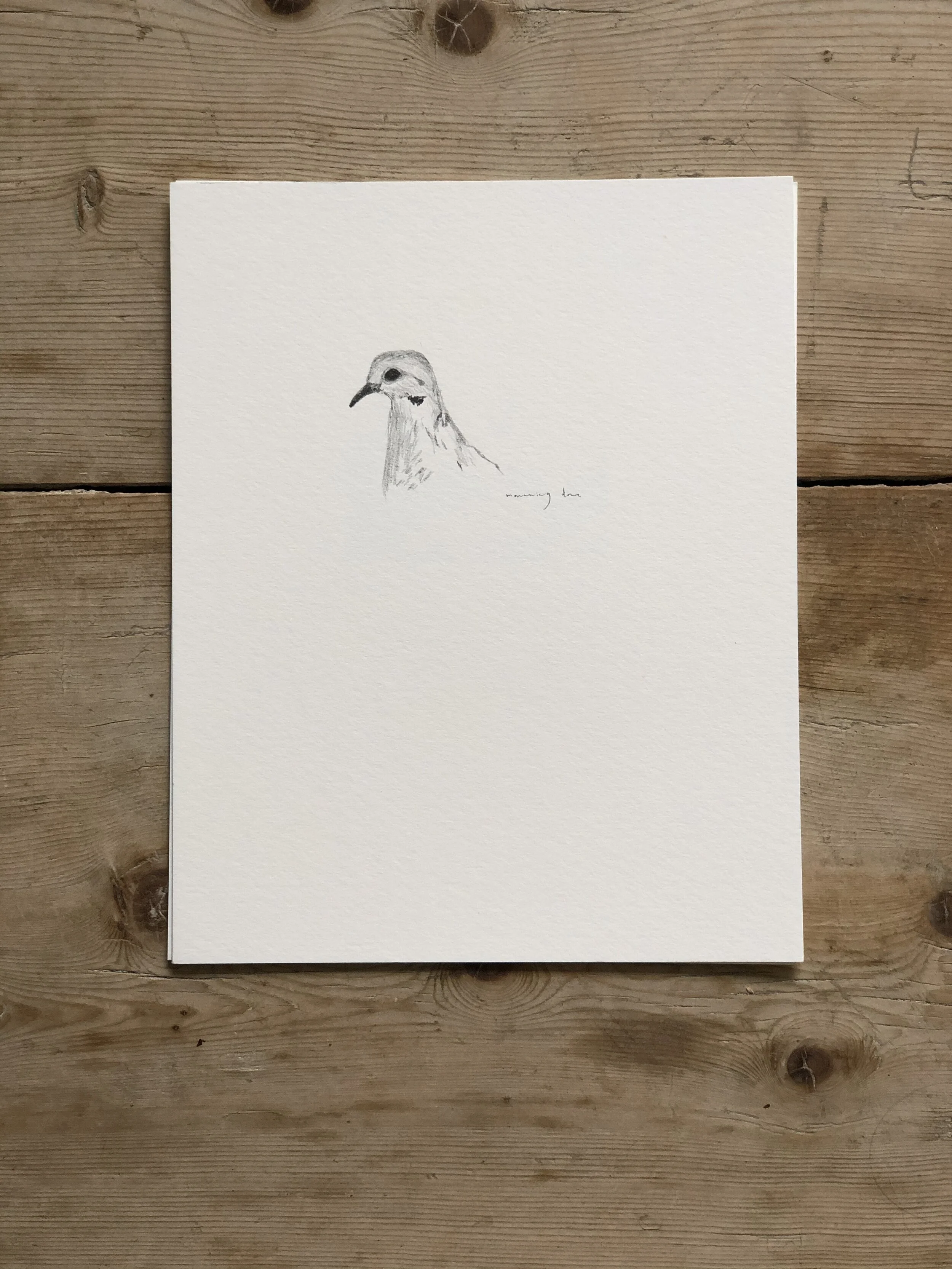 5:21 studies - 13c.jpeg