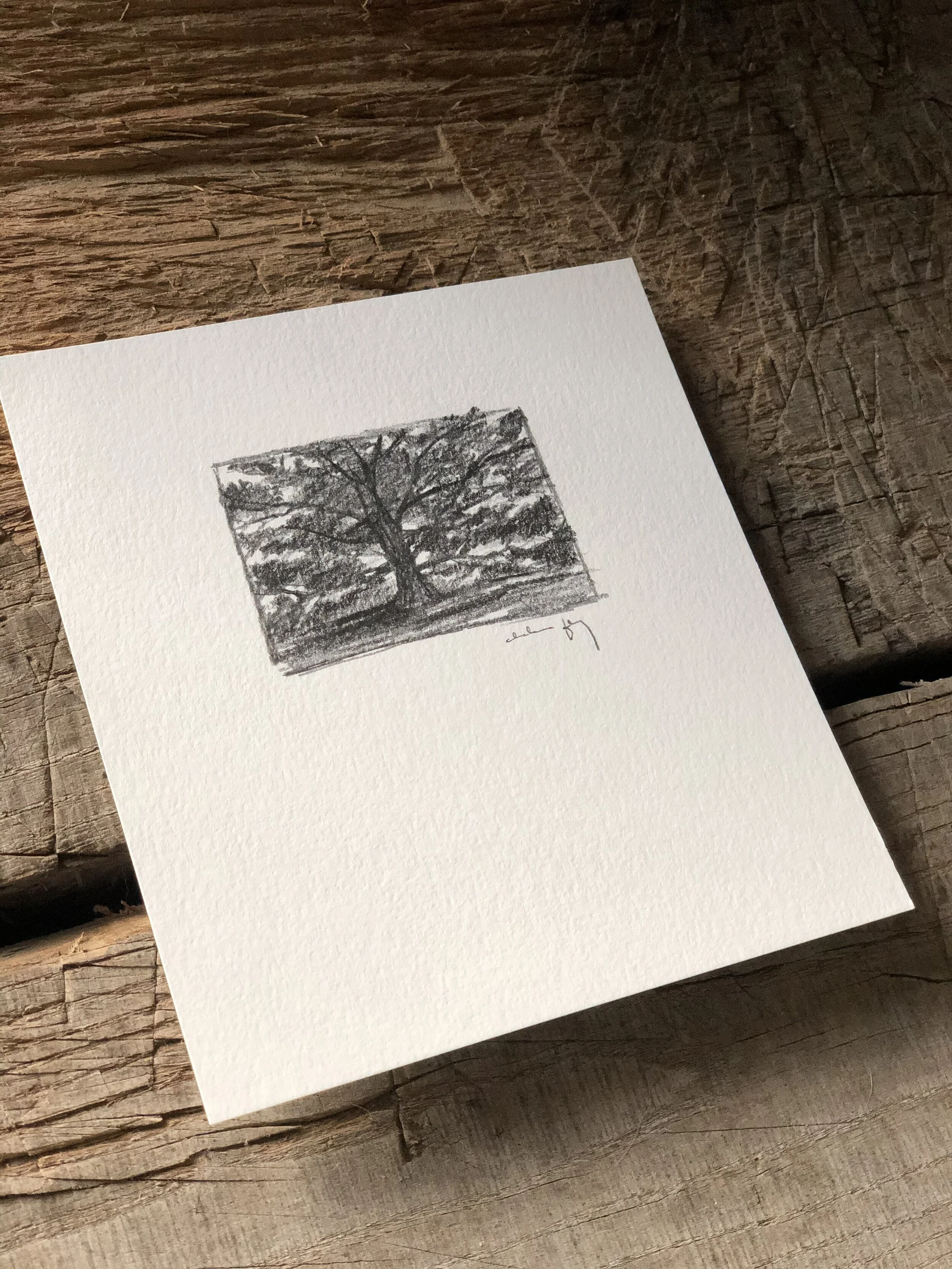 5:21 studies - update 1b.jpeg