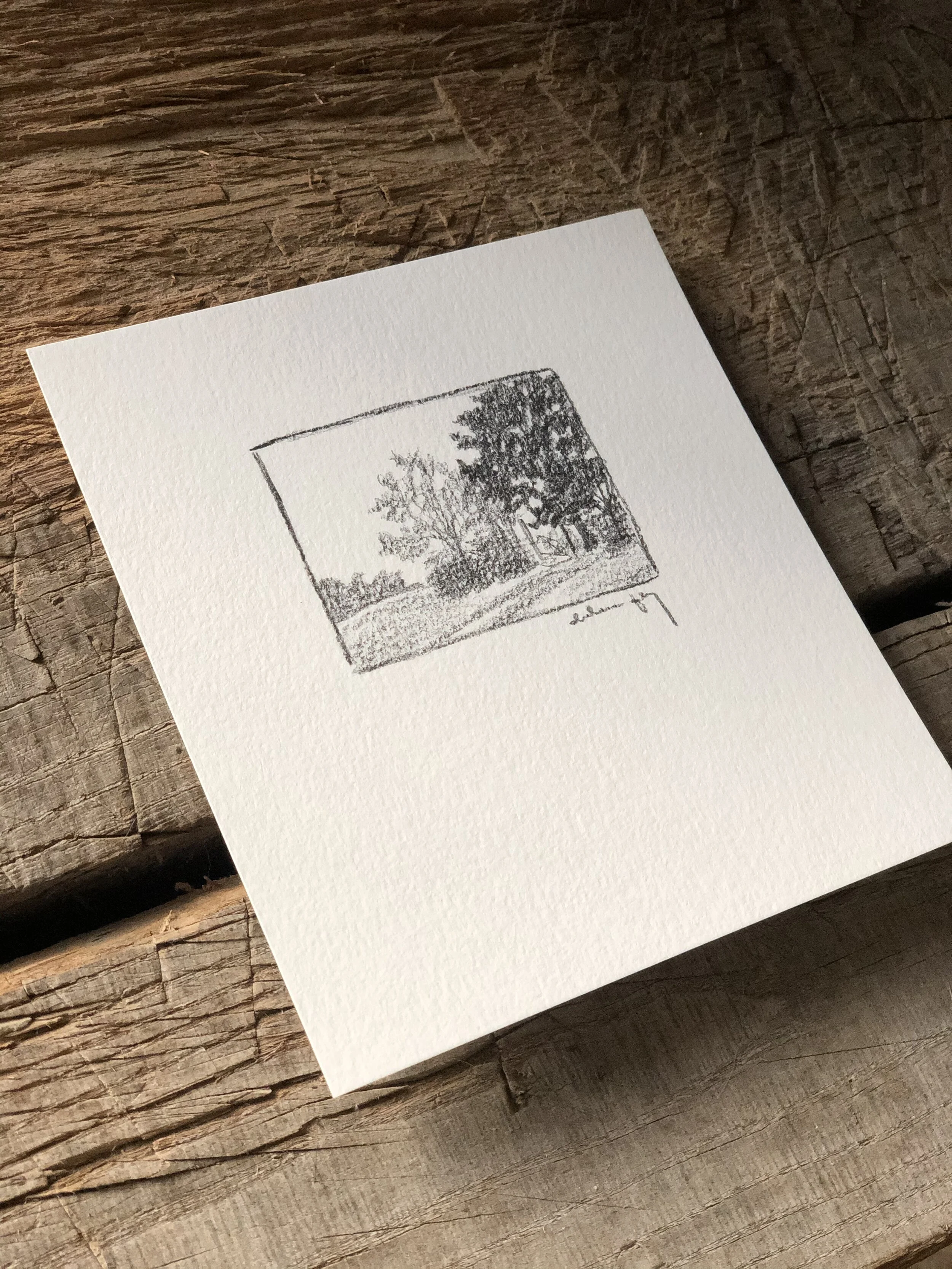 5:21 studies - update 2b.jpeg