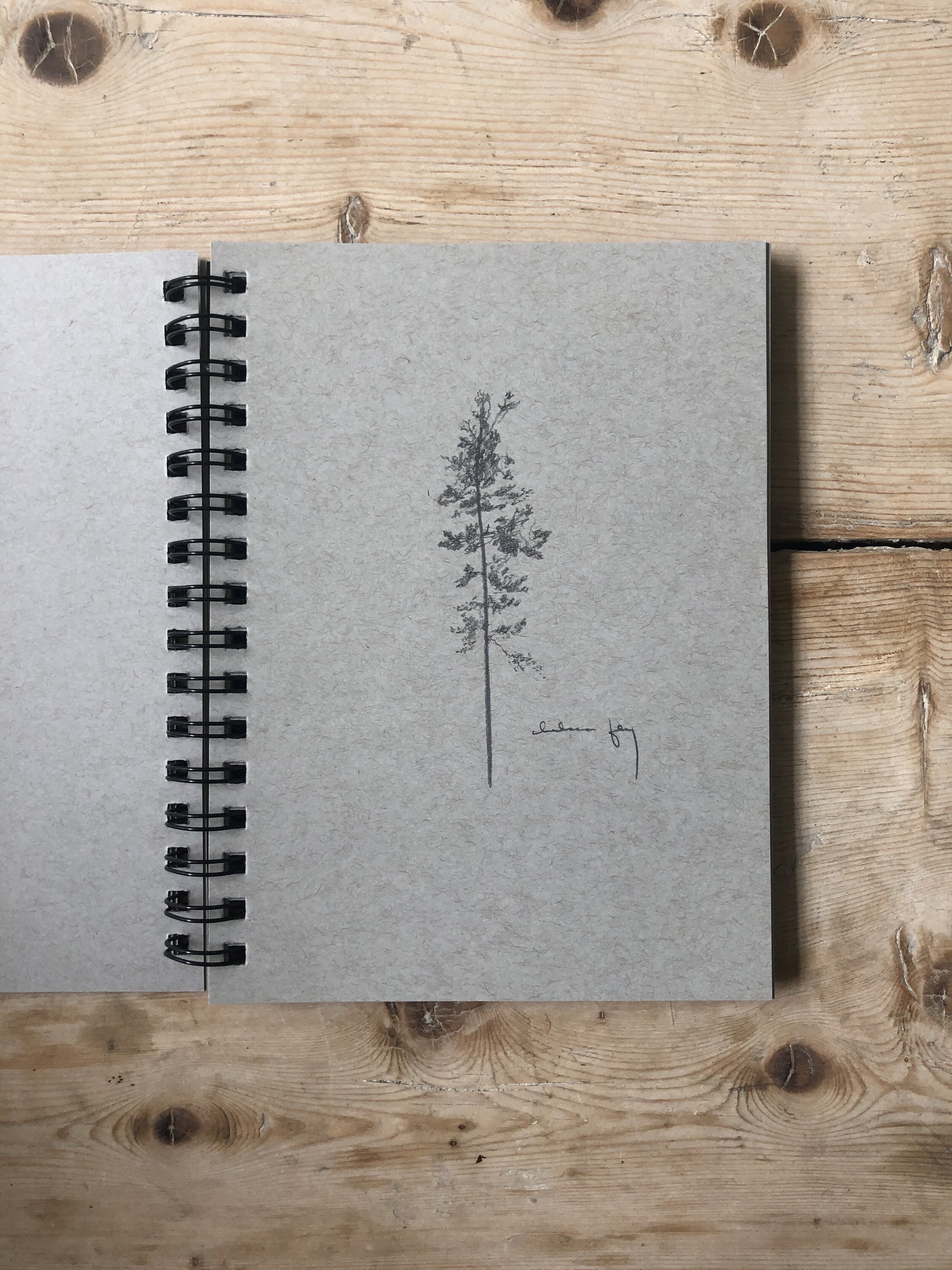 8:25 tree studies - 2.jpeg