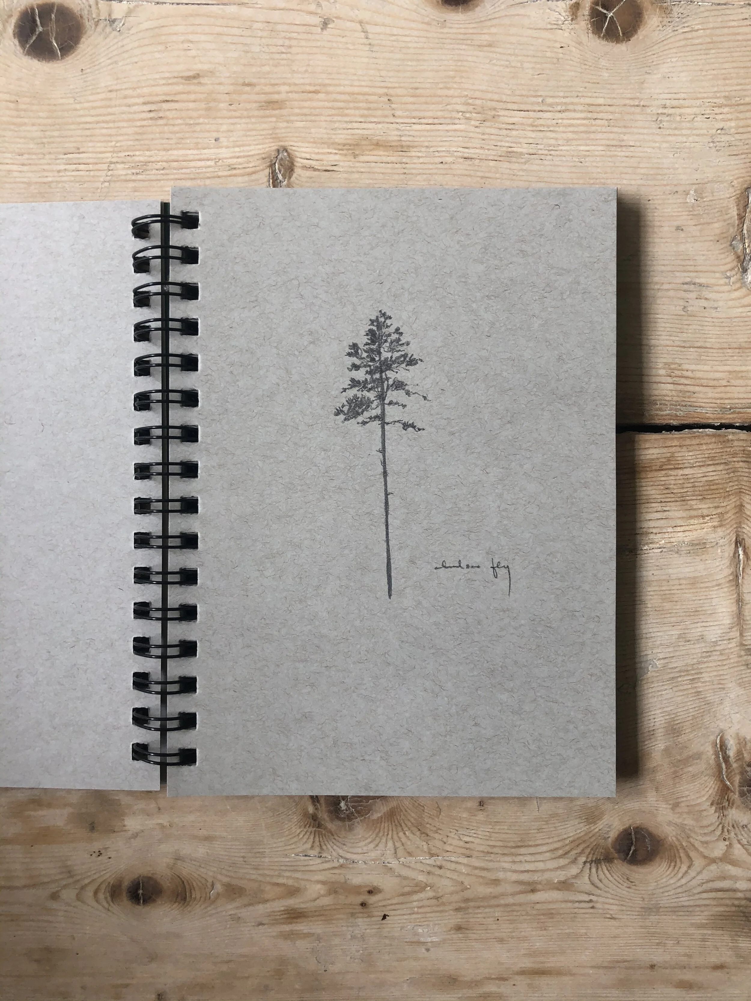 8:25 tree studies - 4.jpeg