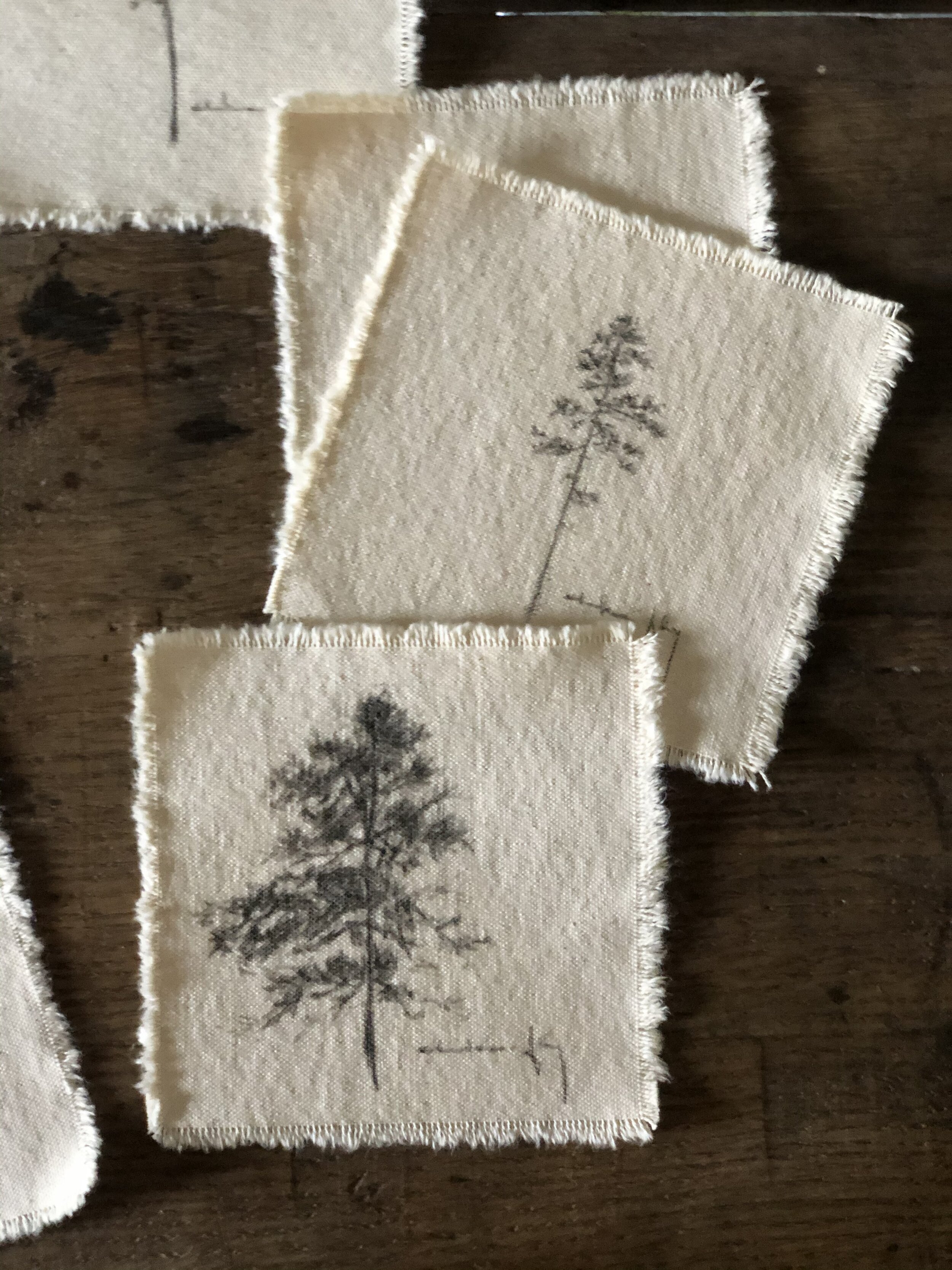 8:25 tree studies on canvas mix 2.jpeg