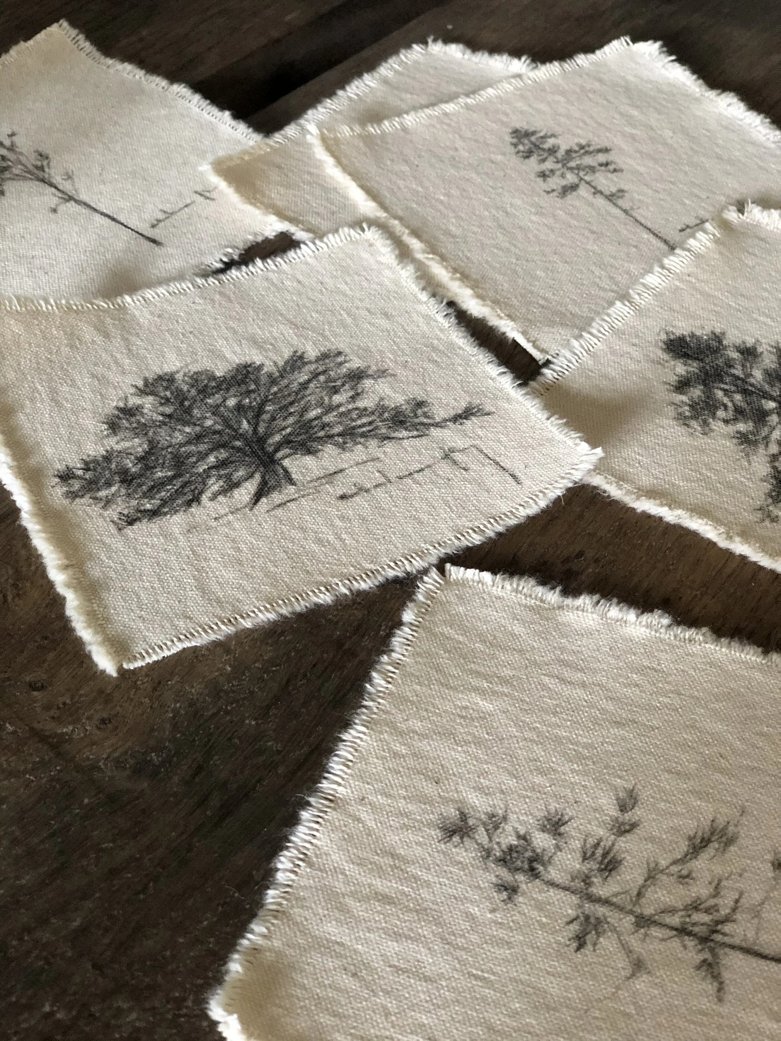 8:25 tree studies on canvas mix 1.jpeg