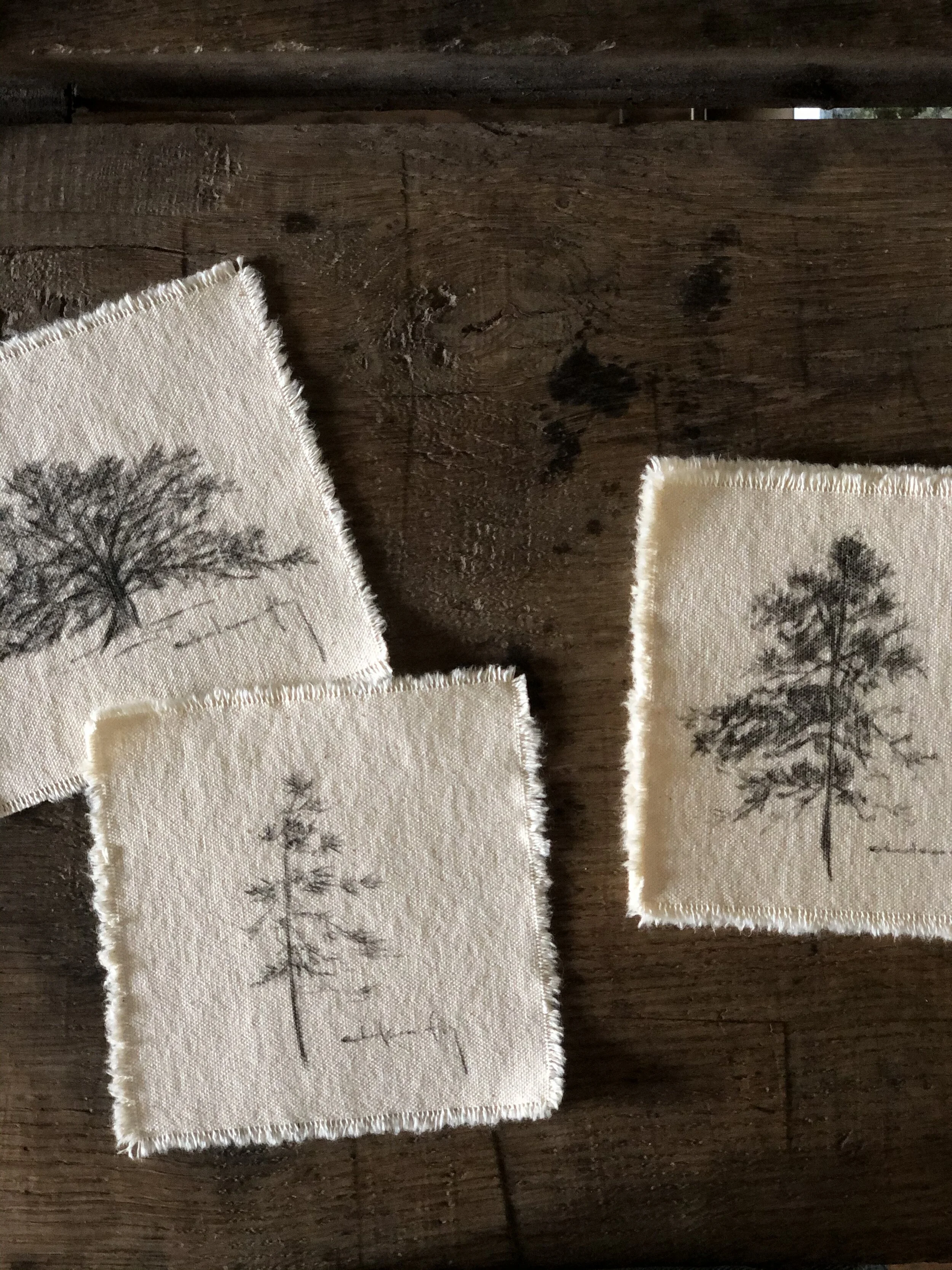 8:25 tree studies on canvas mix 3.jpeg