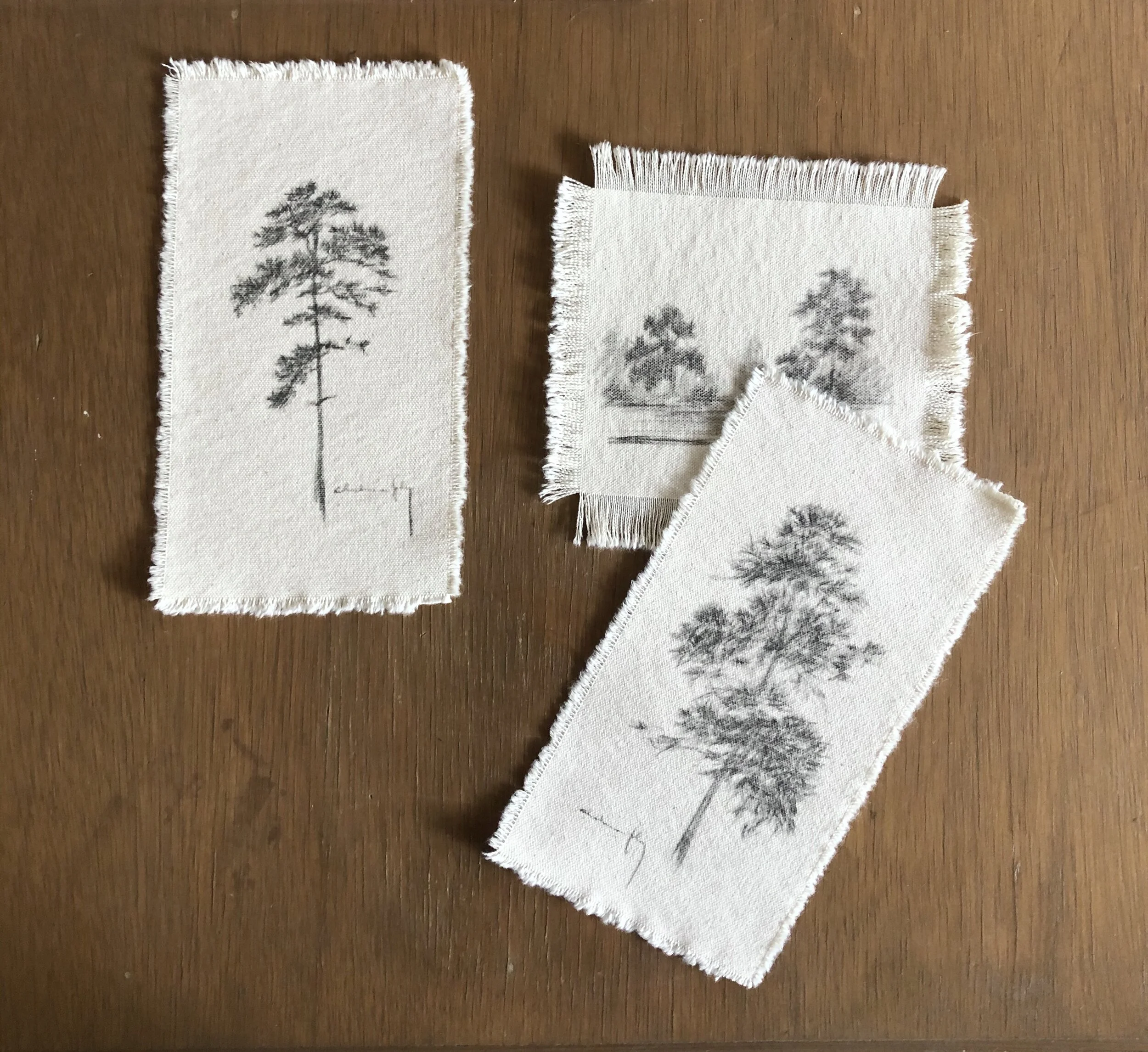 tree studies 10.jpeg