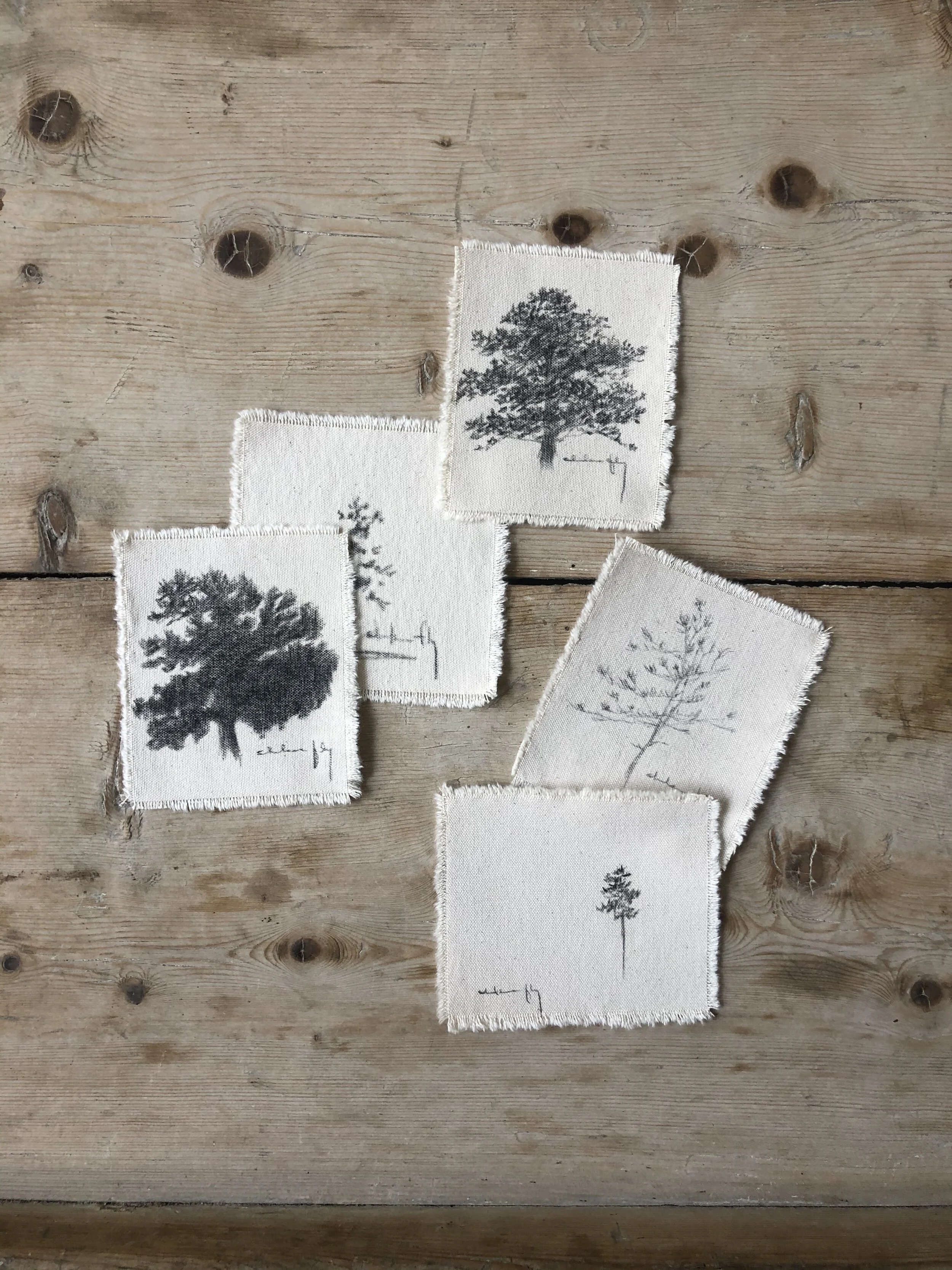 9:6 studies mix 1.jpeg