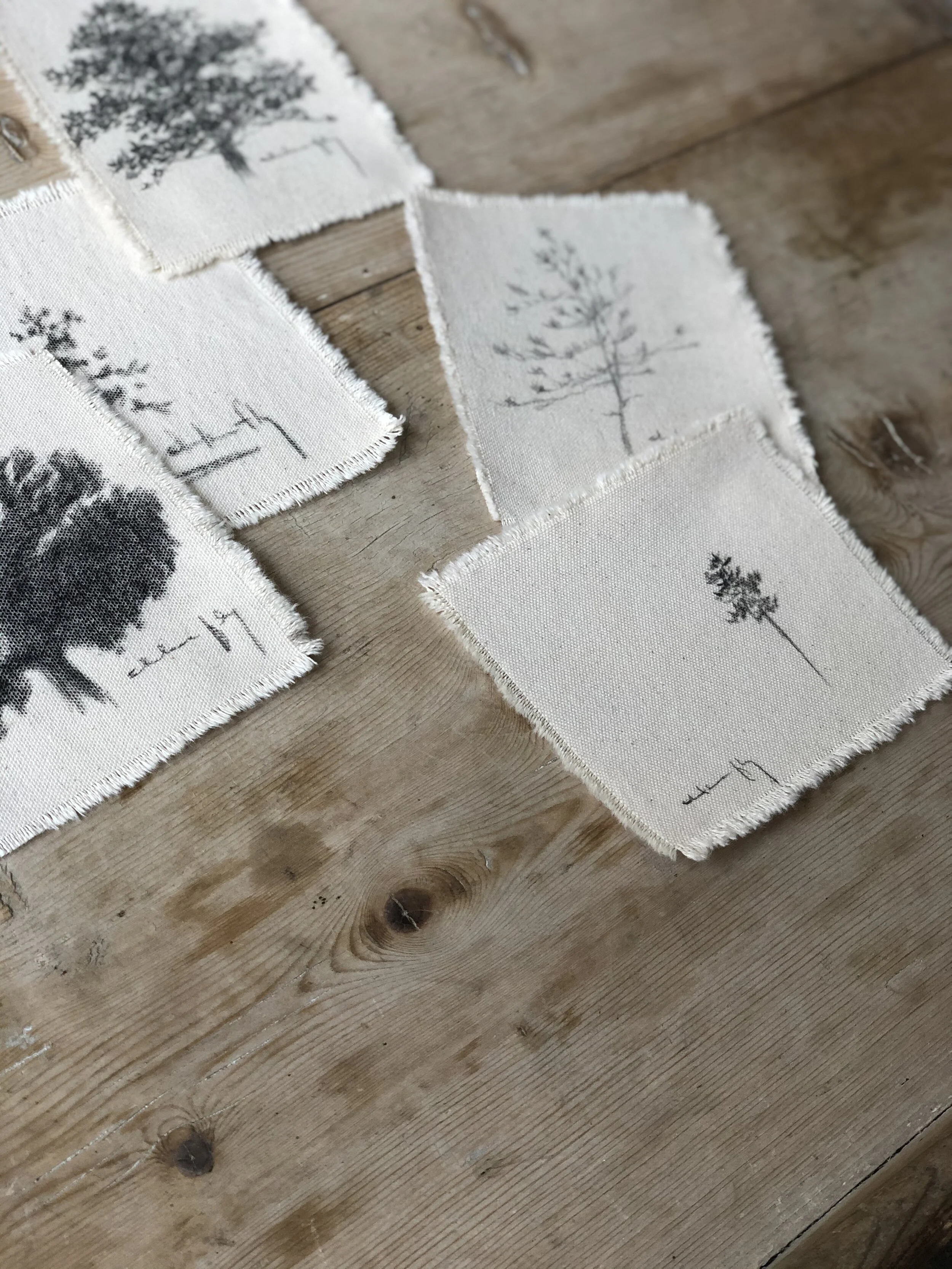 9:6 studies mix 2.jpeg