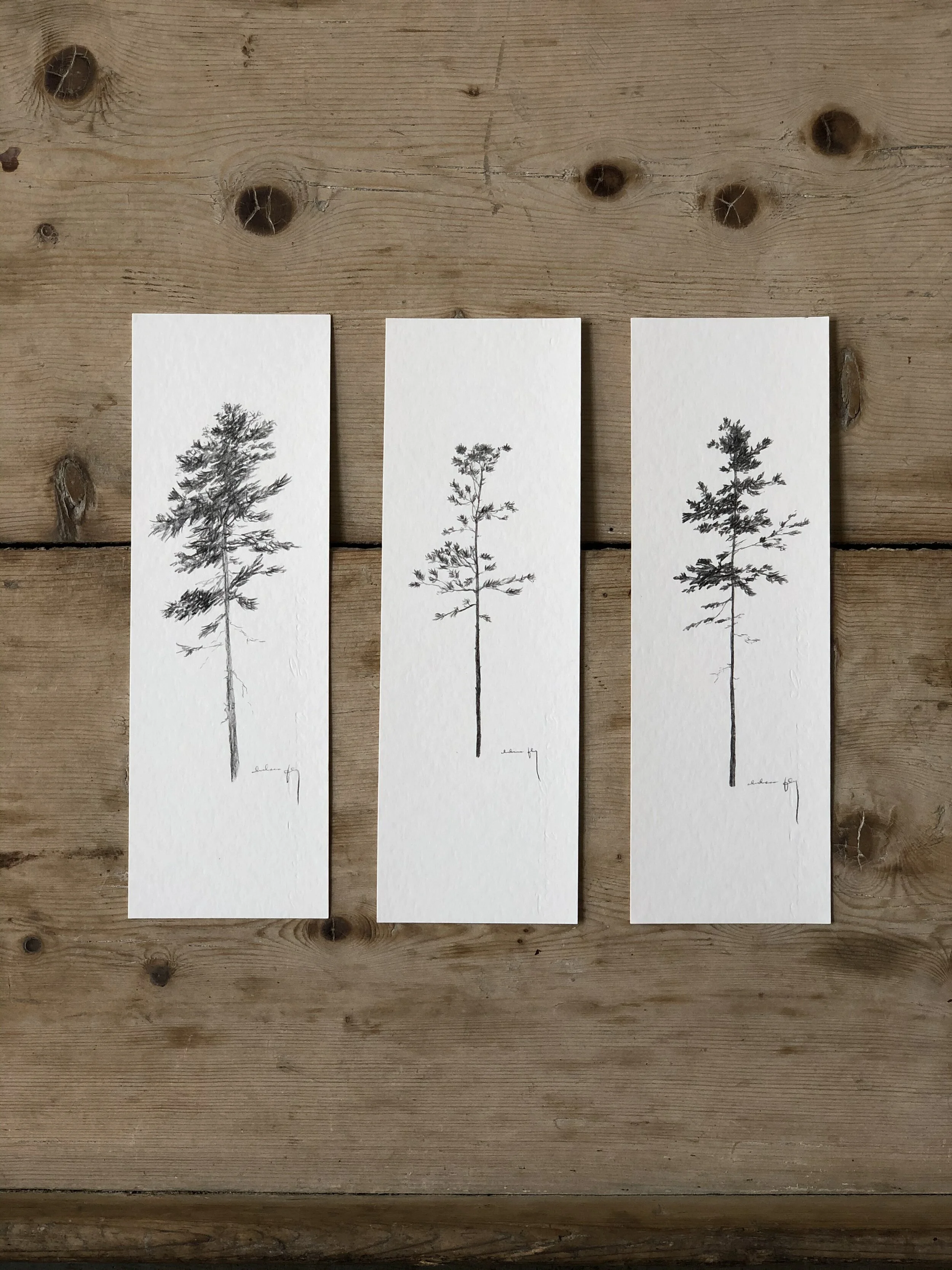 9:6 studies mix 3.jpeg