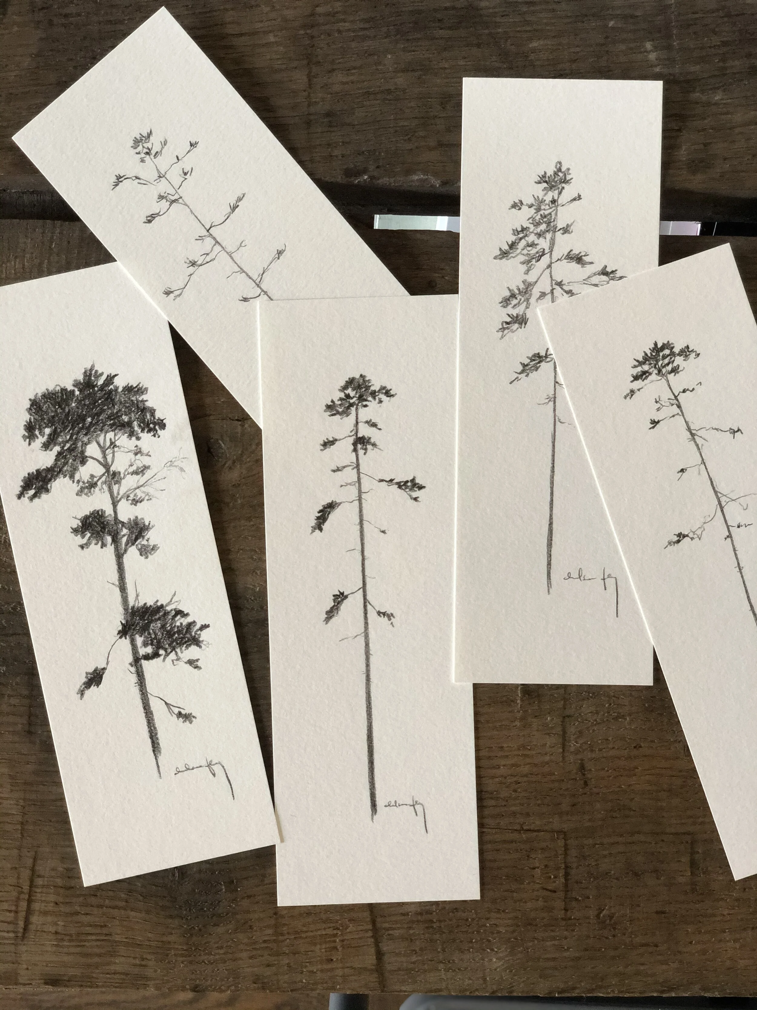 Upload 9:15 Studies - mix 1.jpeg