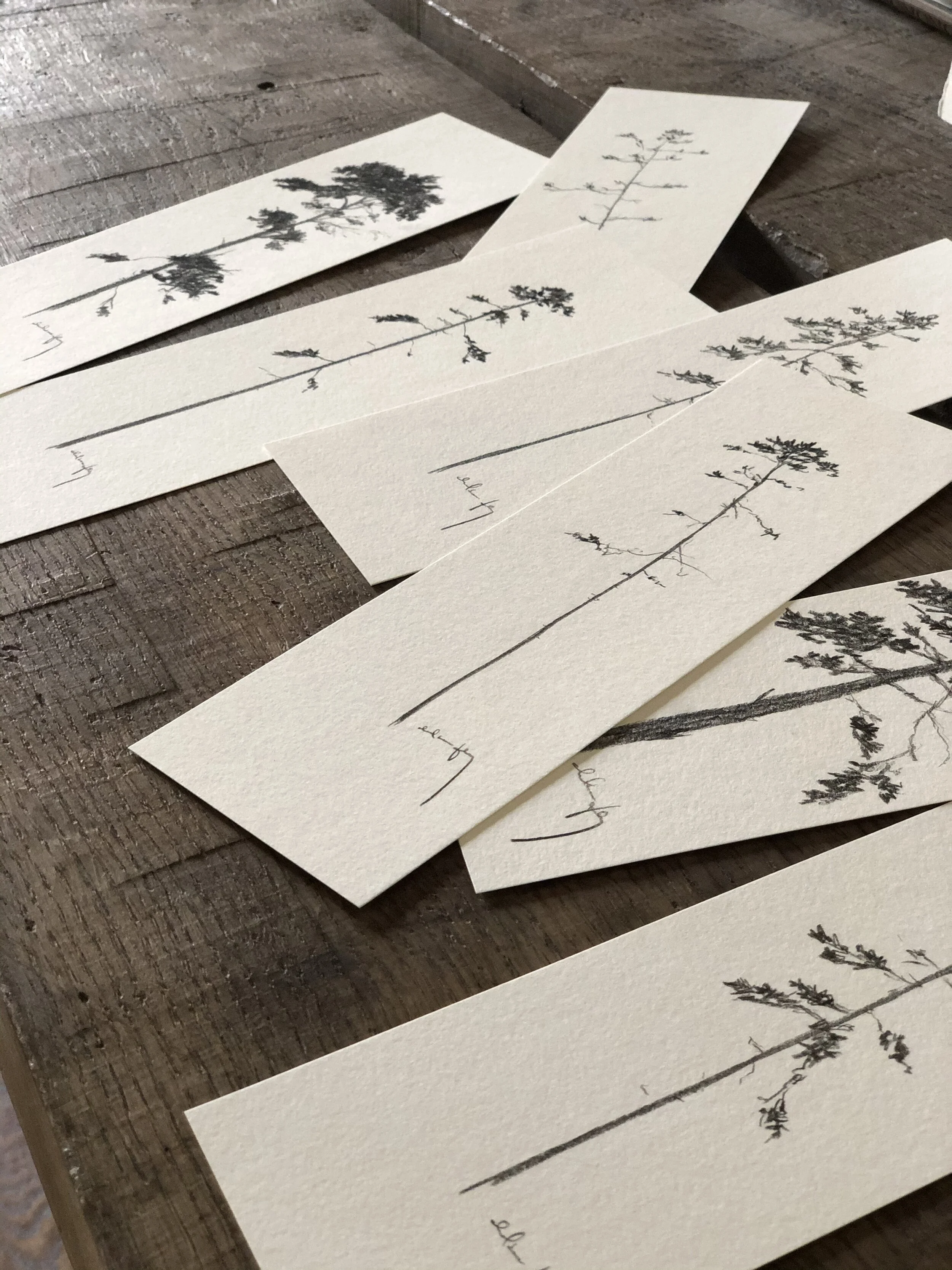 Upload 9:15 Studies - mix 3.jpeg