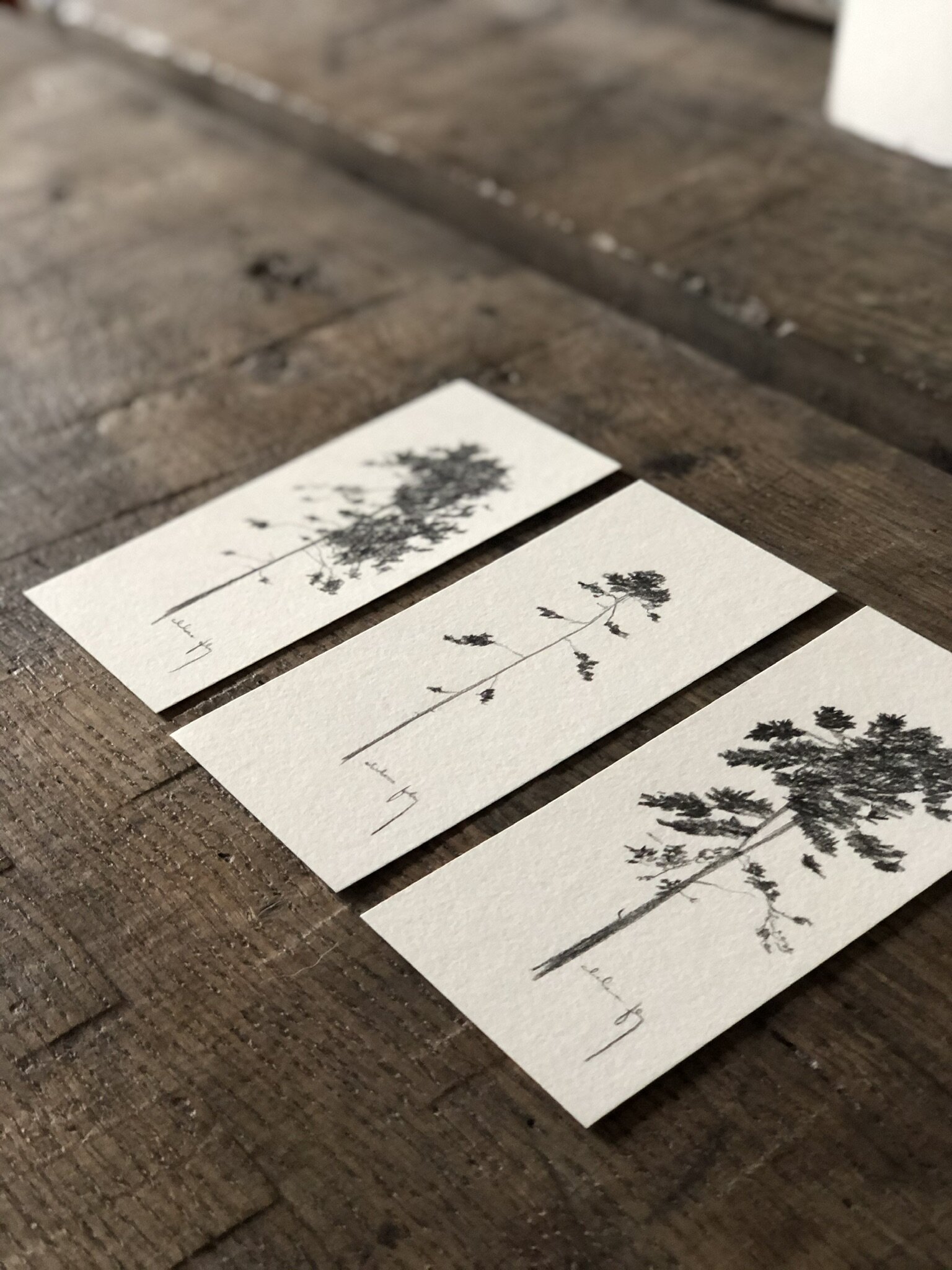 Upload 9:15 Studies - mix 6.jpeg