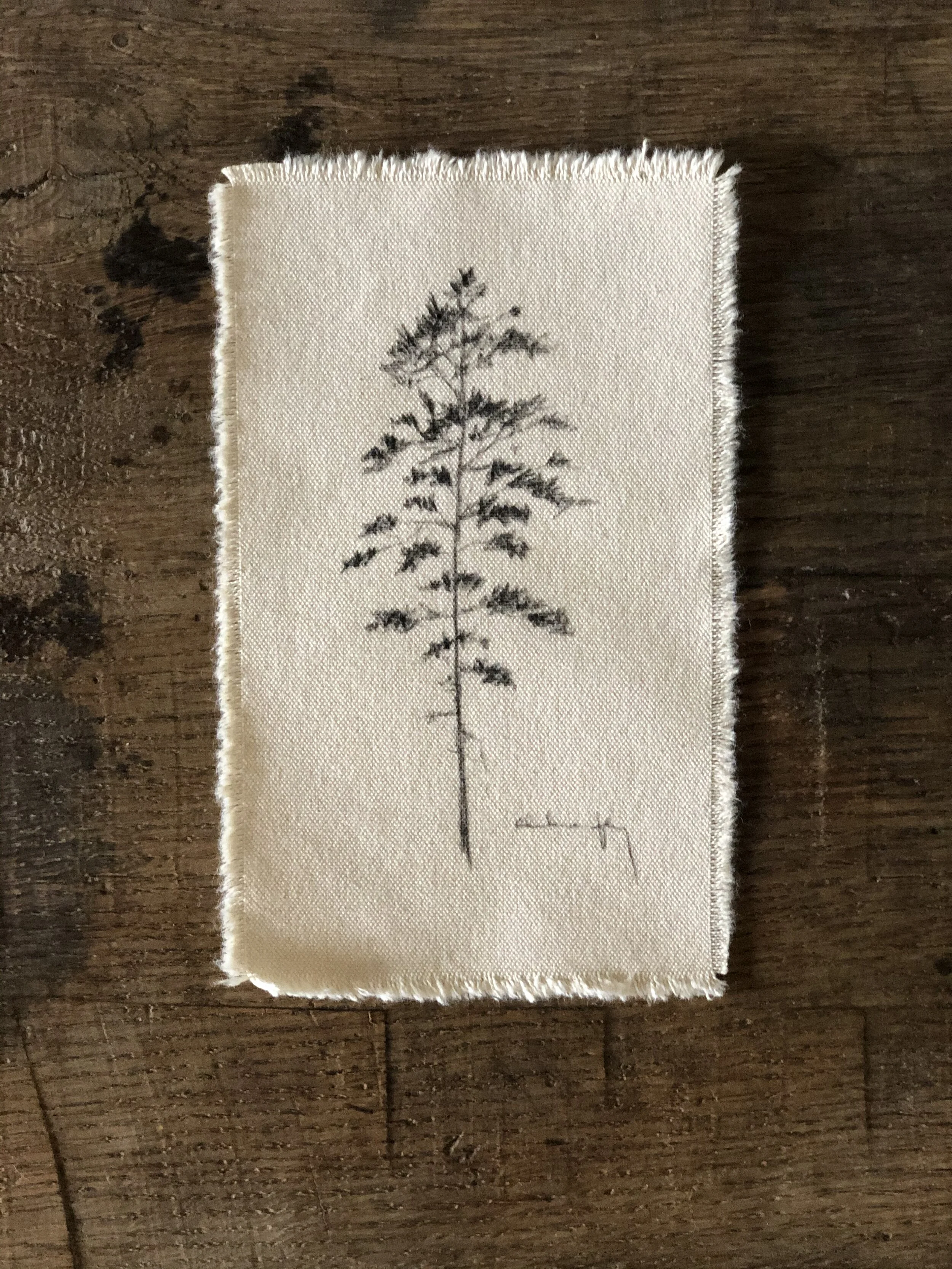 Upload 9:15 Studies - 21.jpeg