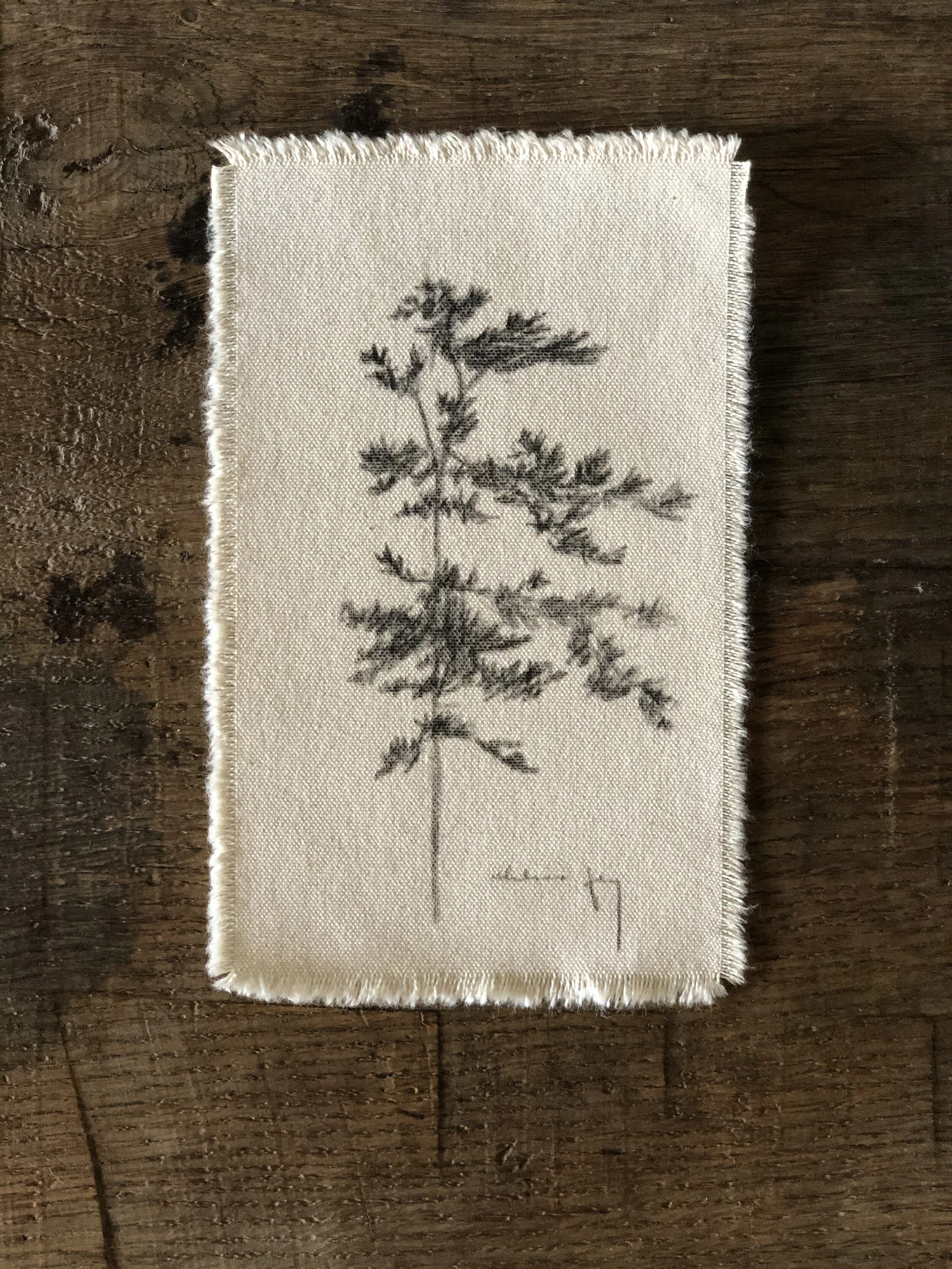 Upload 9:15 Studies - 20.jpeg