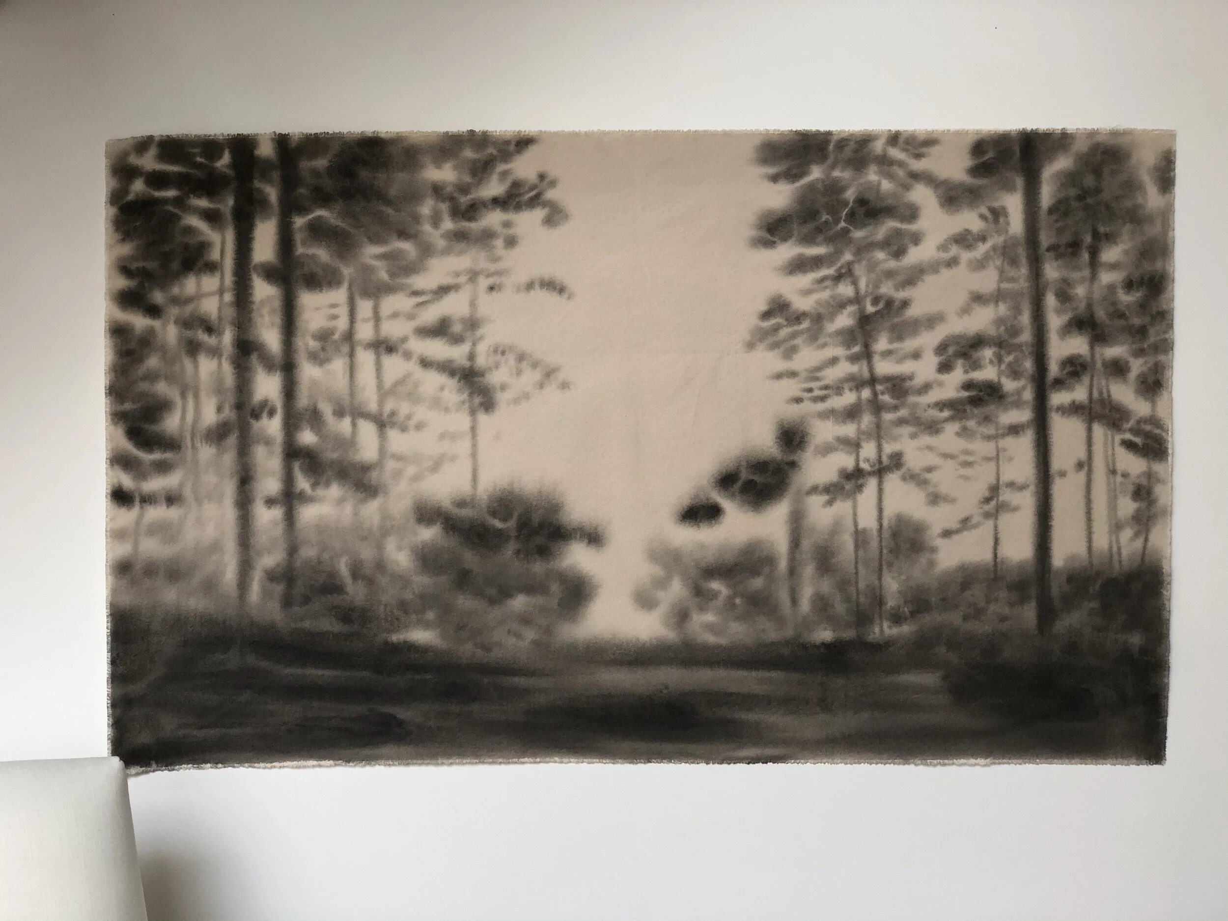 9:24 - 74; 36x54%22 b.jpeg