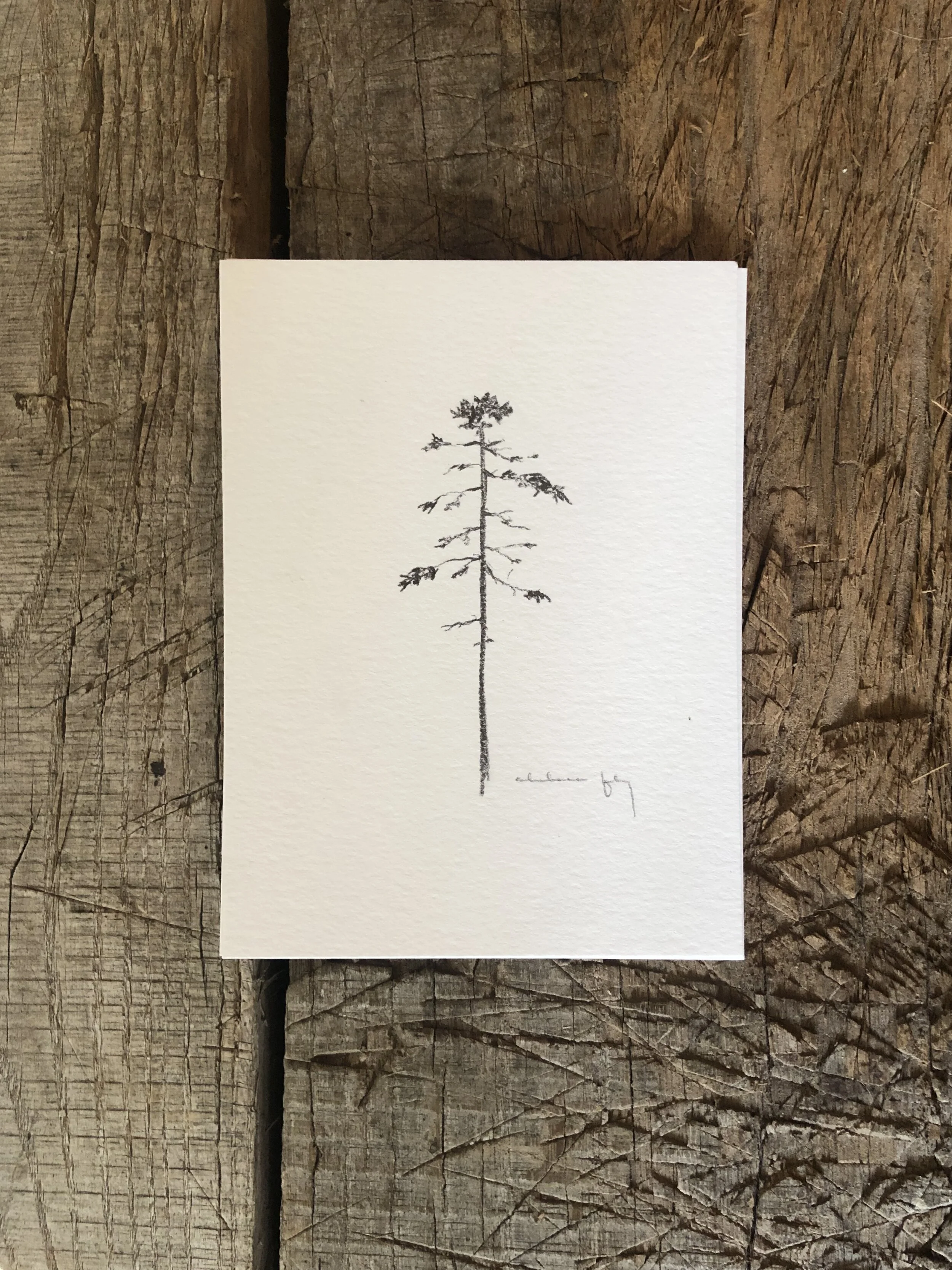 11:24 upload - 16.jpeg