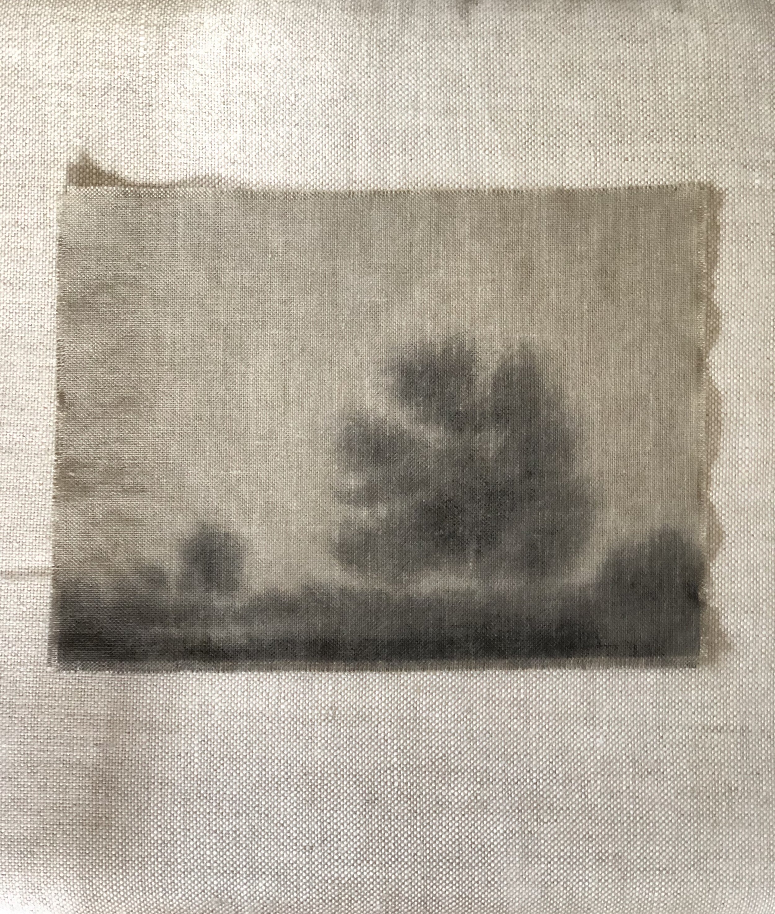 11:24 update - rep 1.jpeg