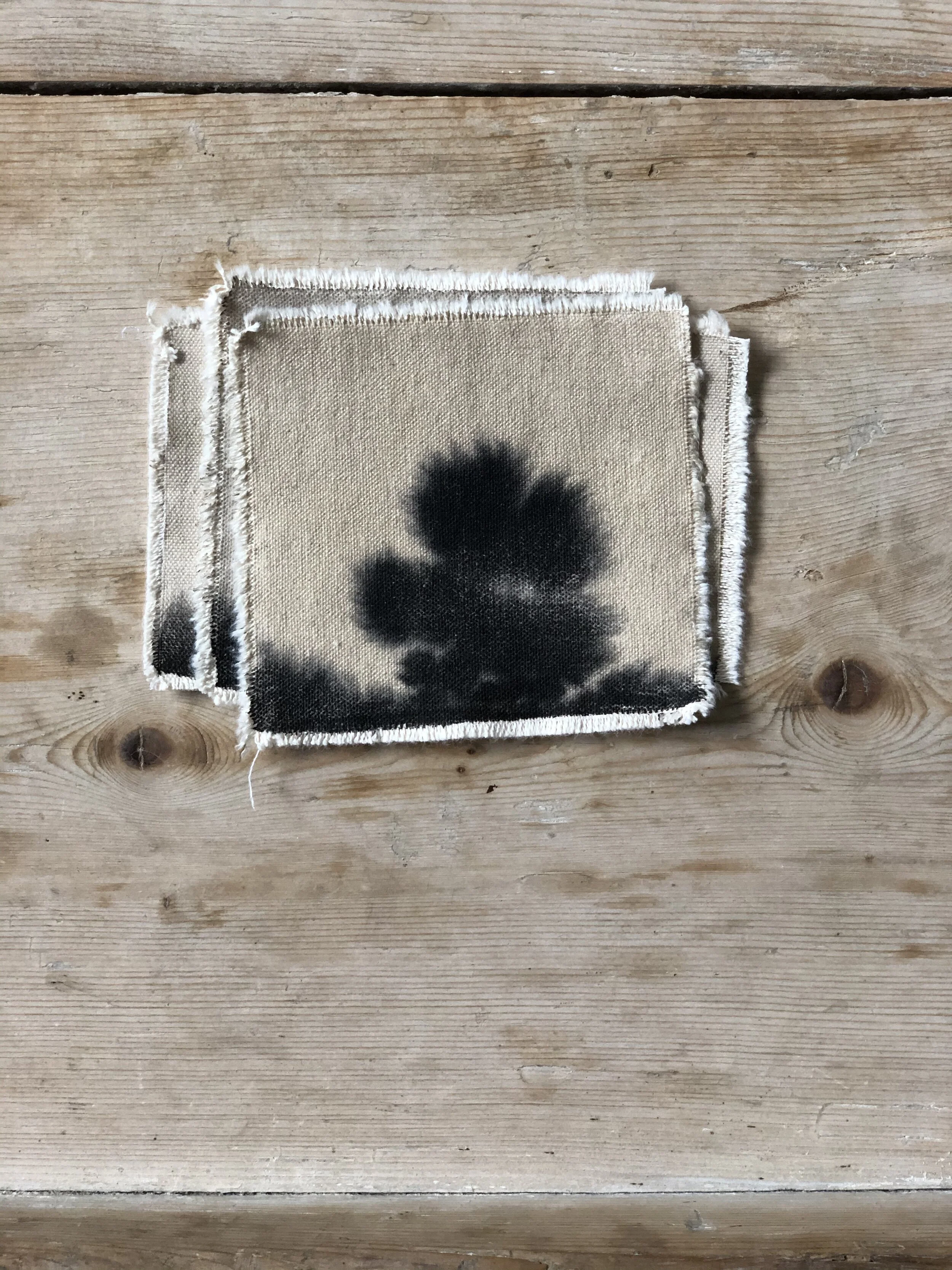 1:5:21 Upload - 1.jpeg