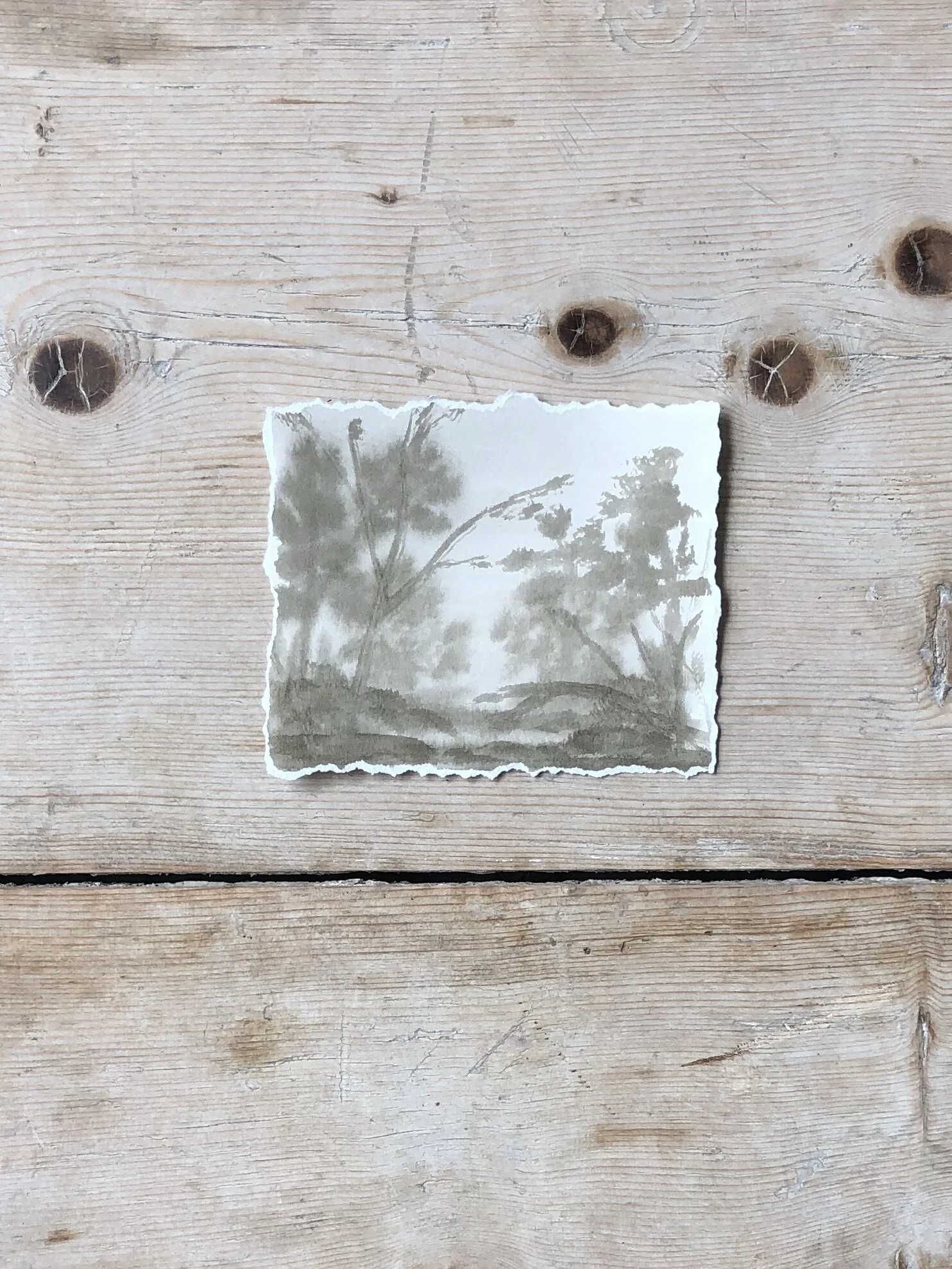 4:15 Upload - 15.jpeg