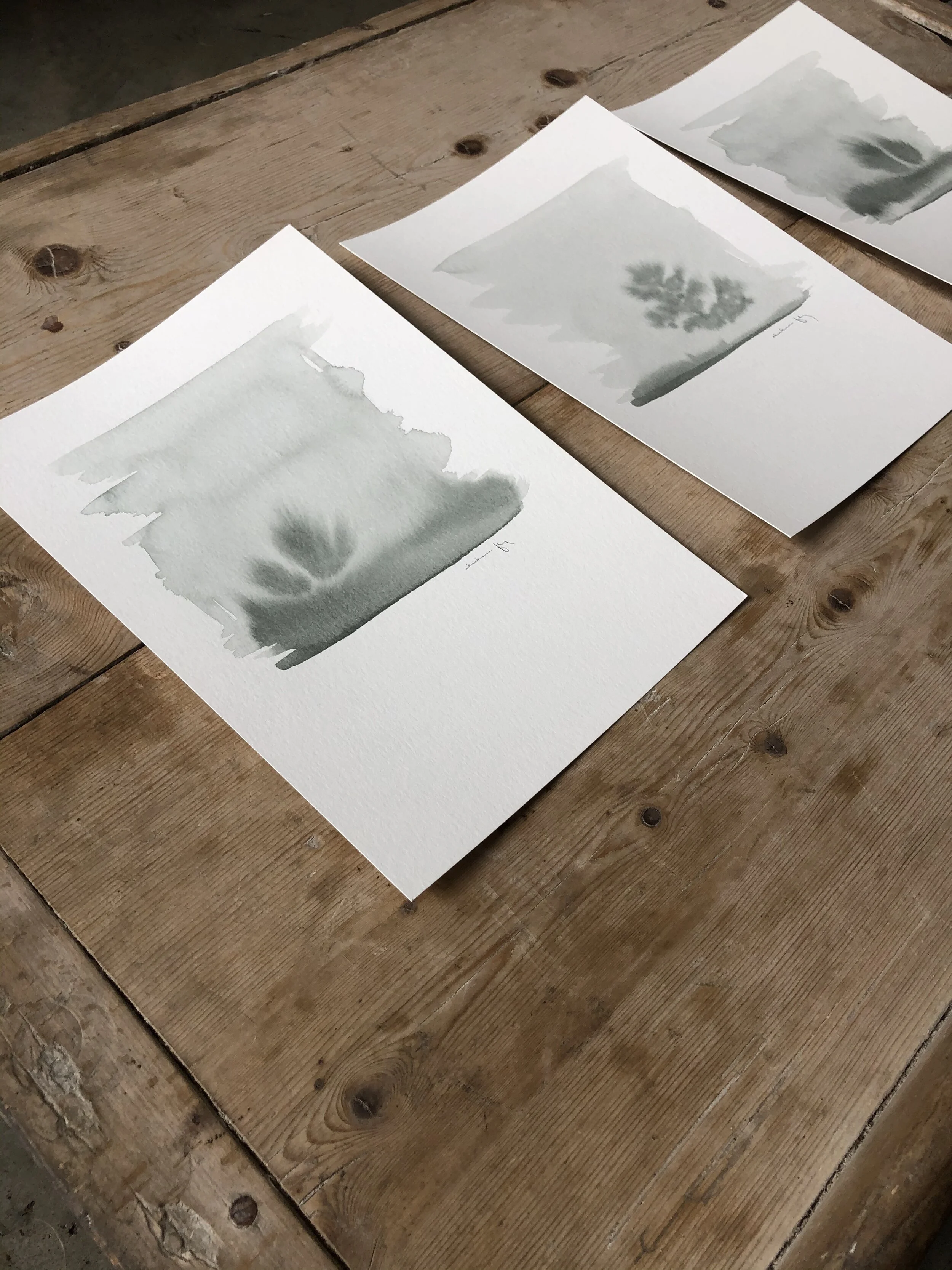 4:28:21 Upload - 39b.jpeg