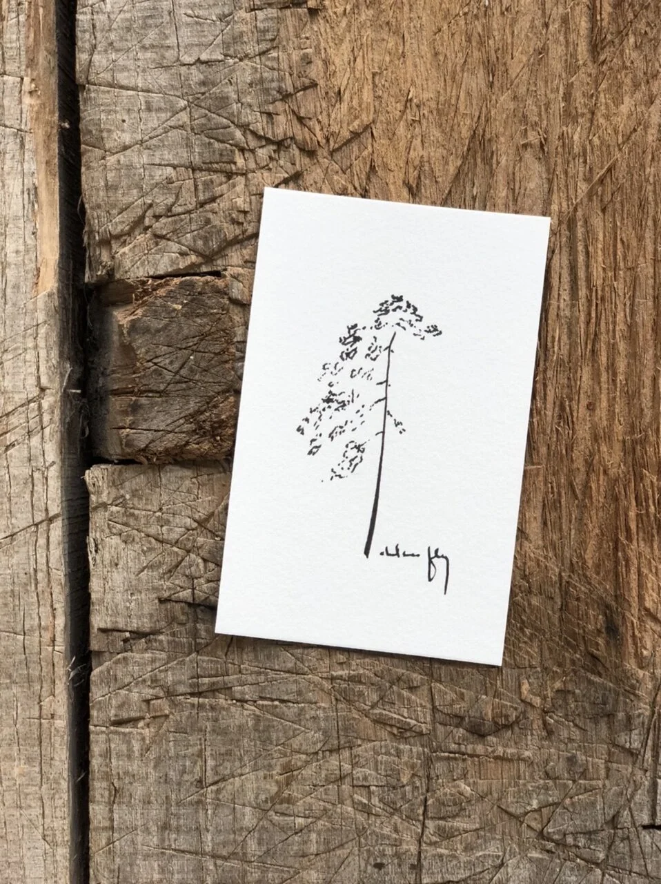 8:27:21 upload - 4.jpeg