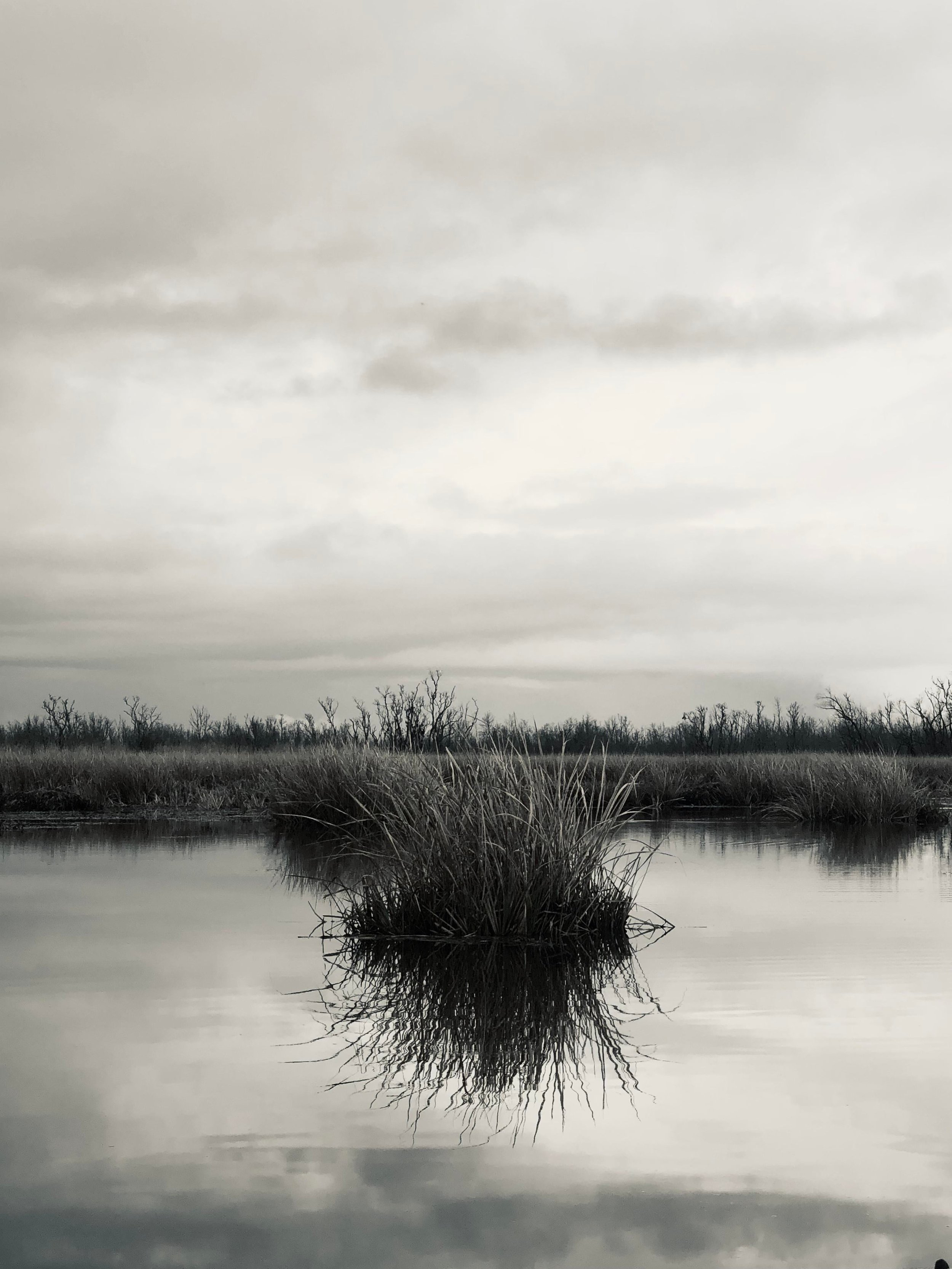 9C88A52E-62C5-4150-9FA9-2E8524B2252E.jpeg
