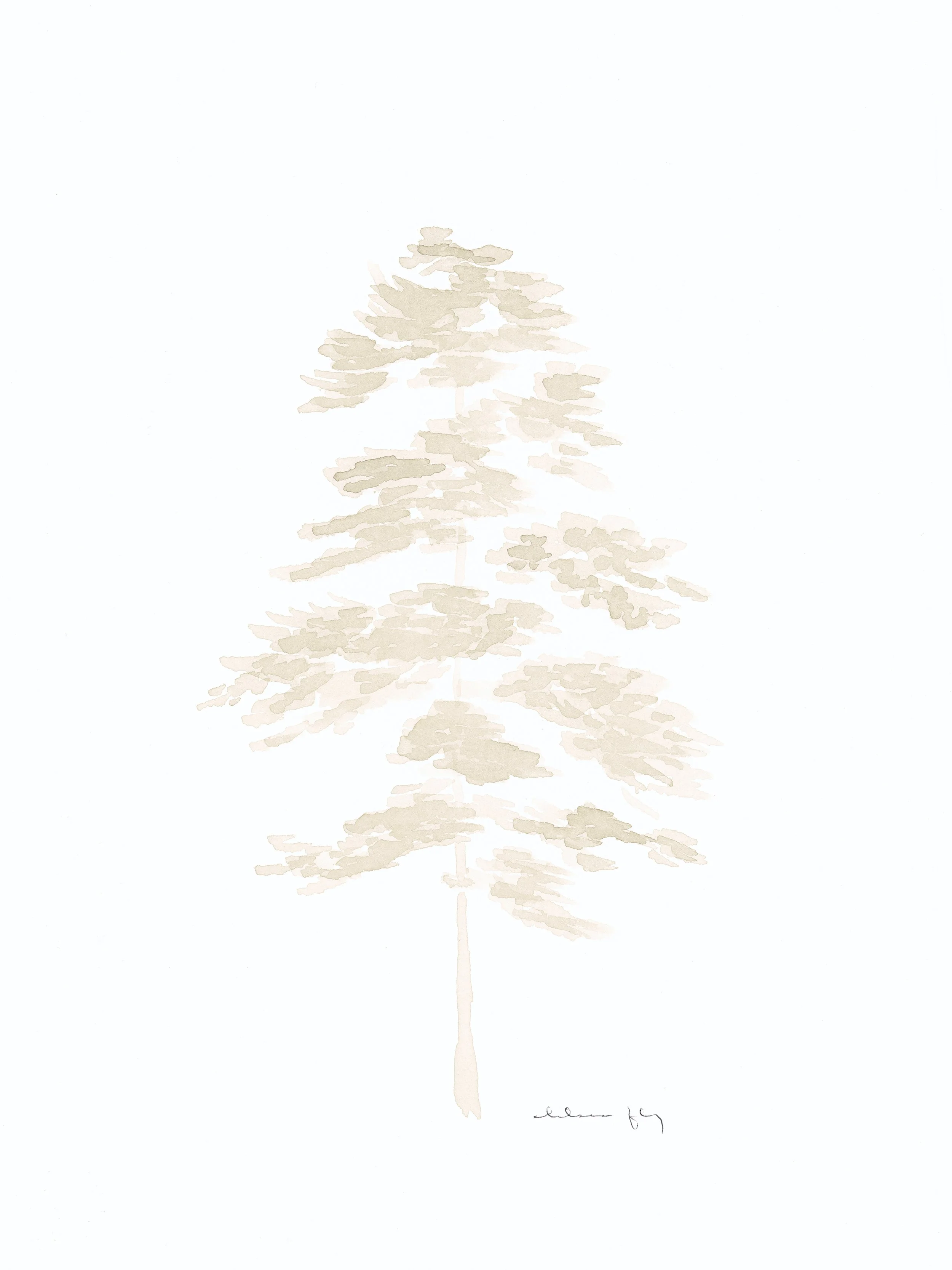 Fly 4-29_03 final.jpg