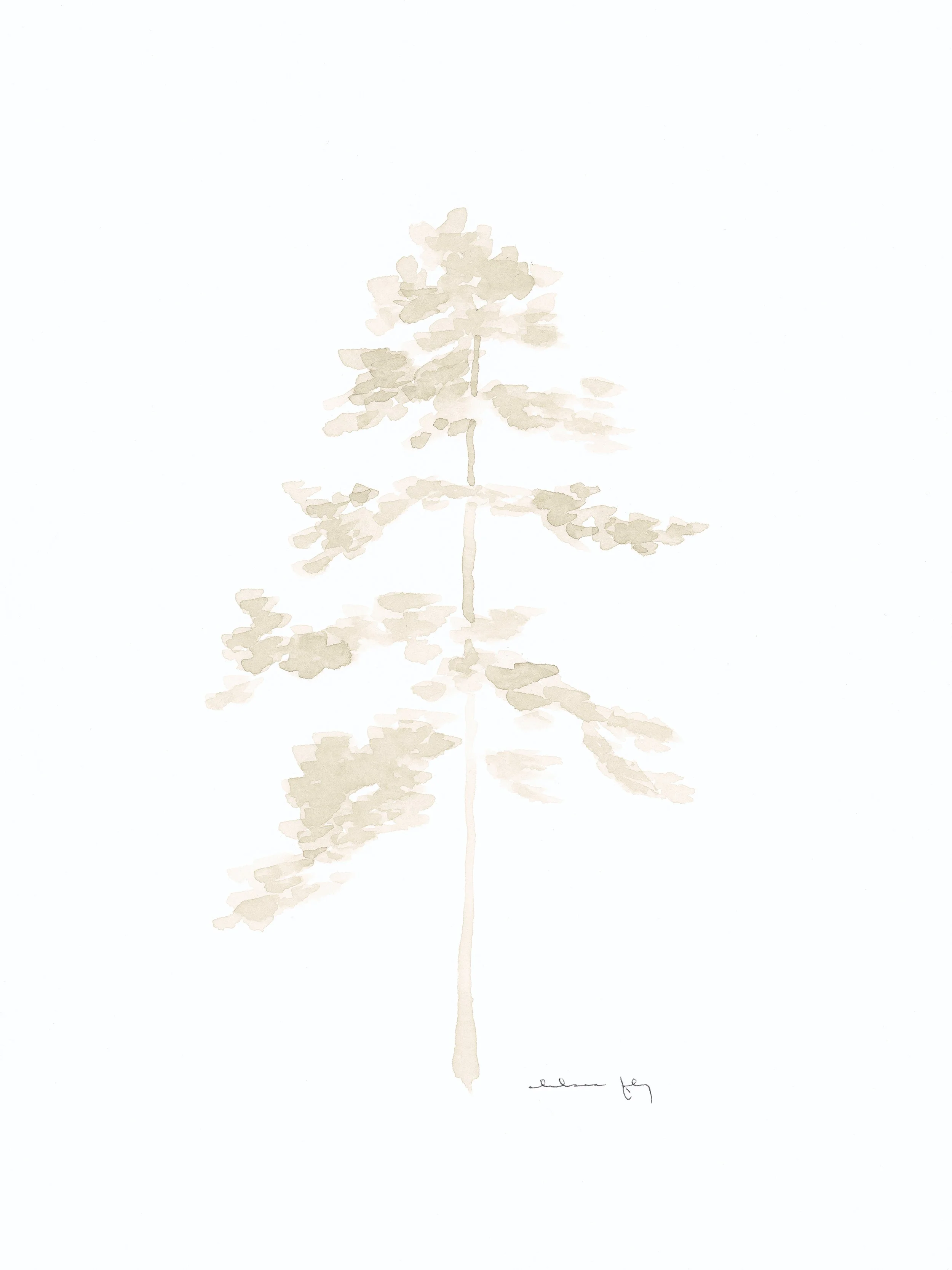 Fly 4-29_04 final.jpg