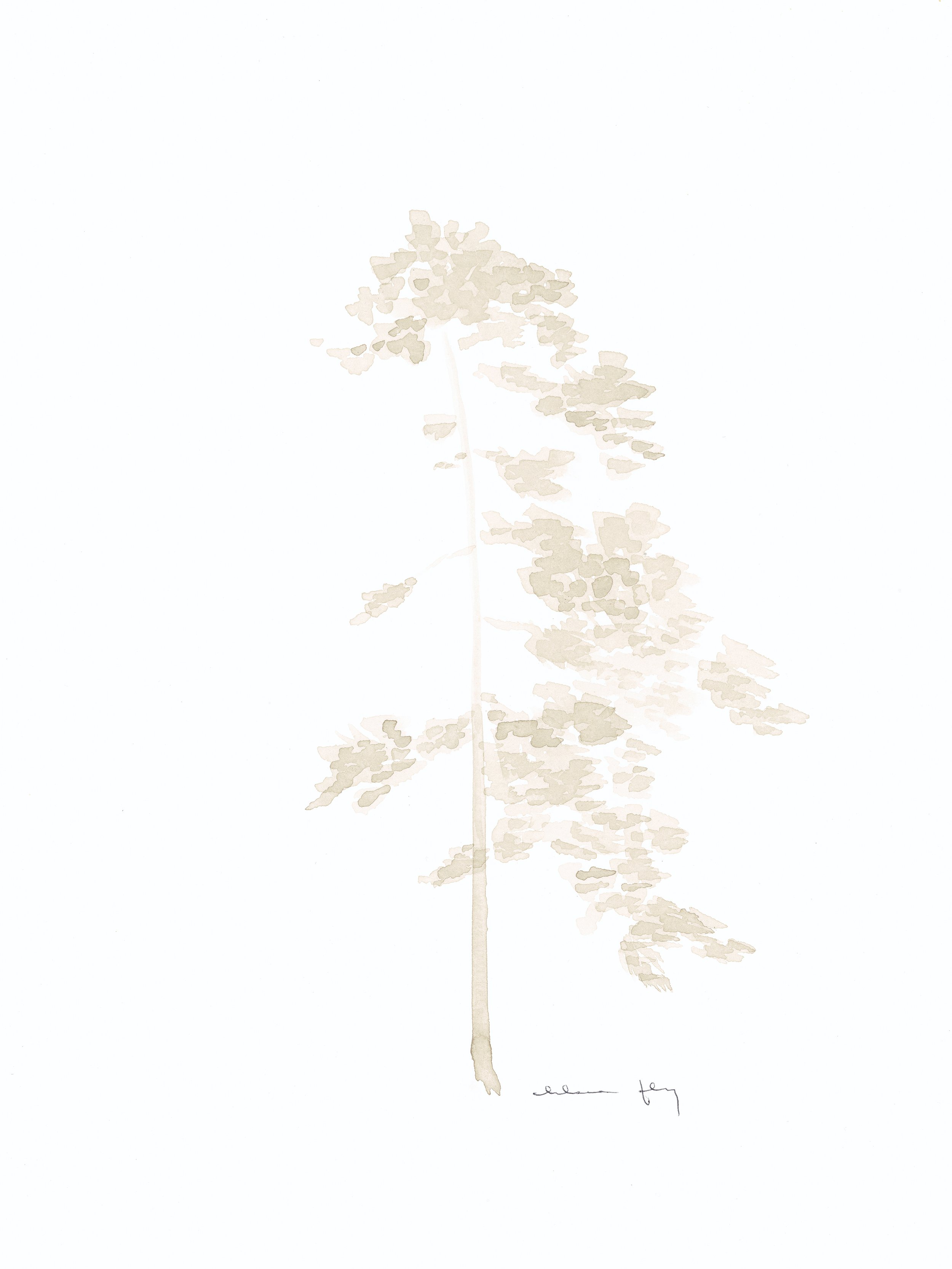 Fly 4-29_06 final.jpg