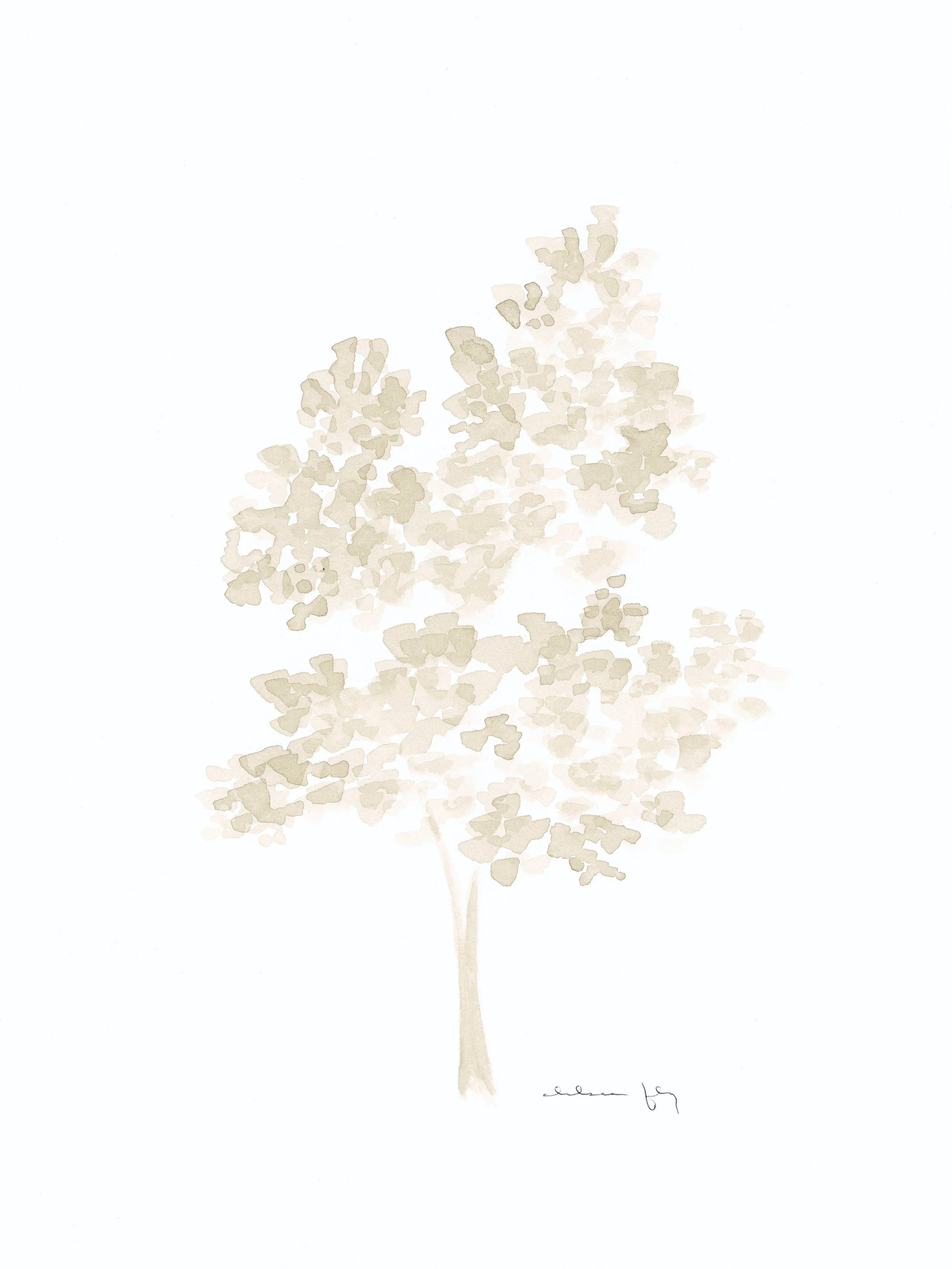 Fly 4-29_07 final.jpg