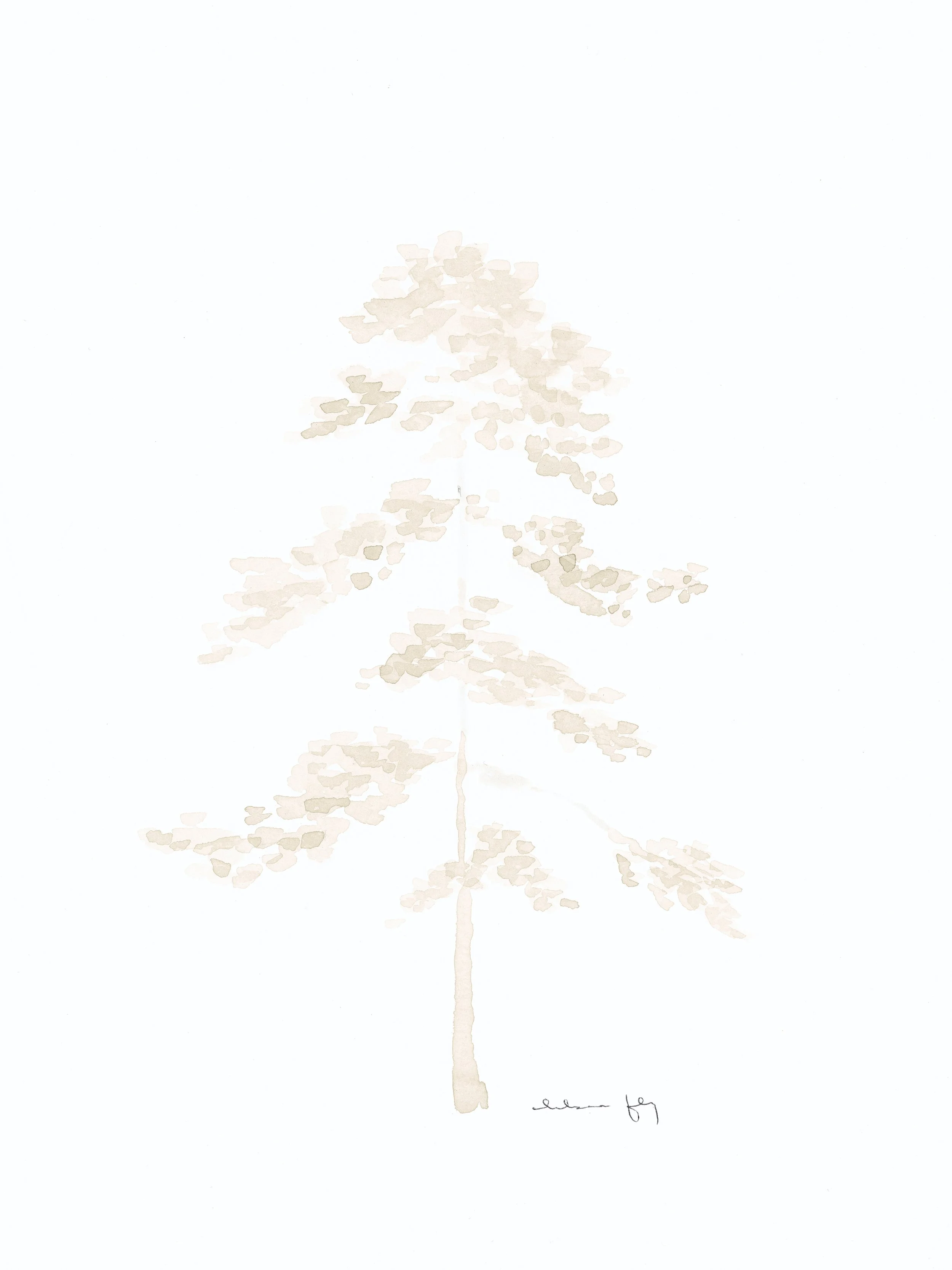 Fly 4-29_08 final.jpg