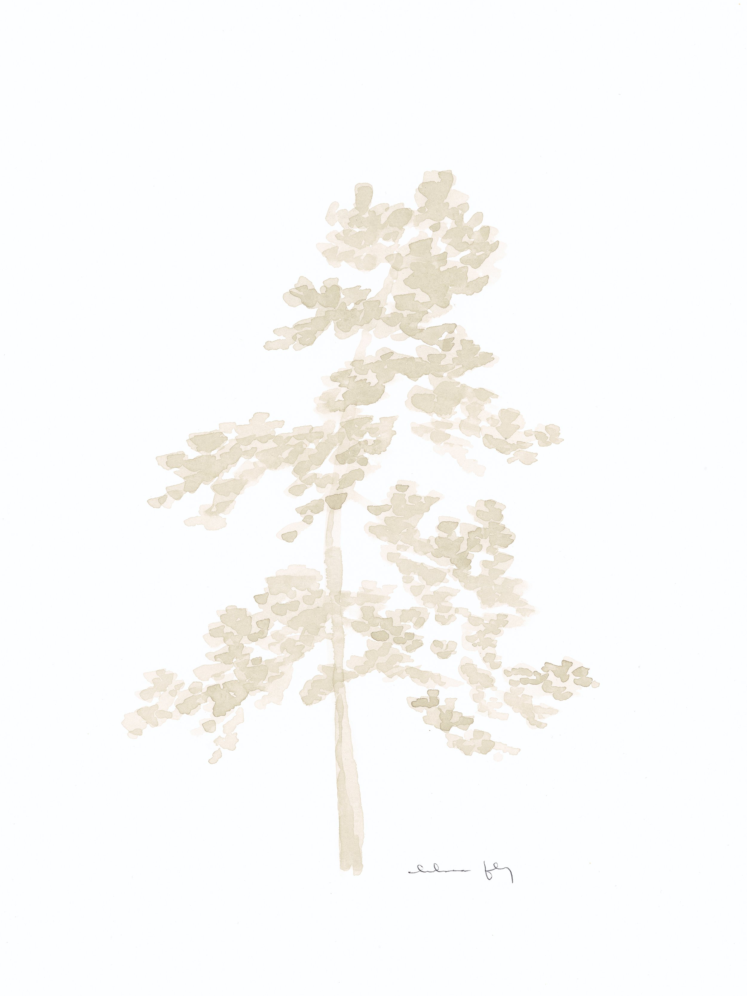 Fly 4-29_10 final.jpg