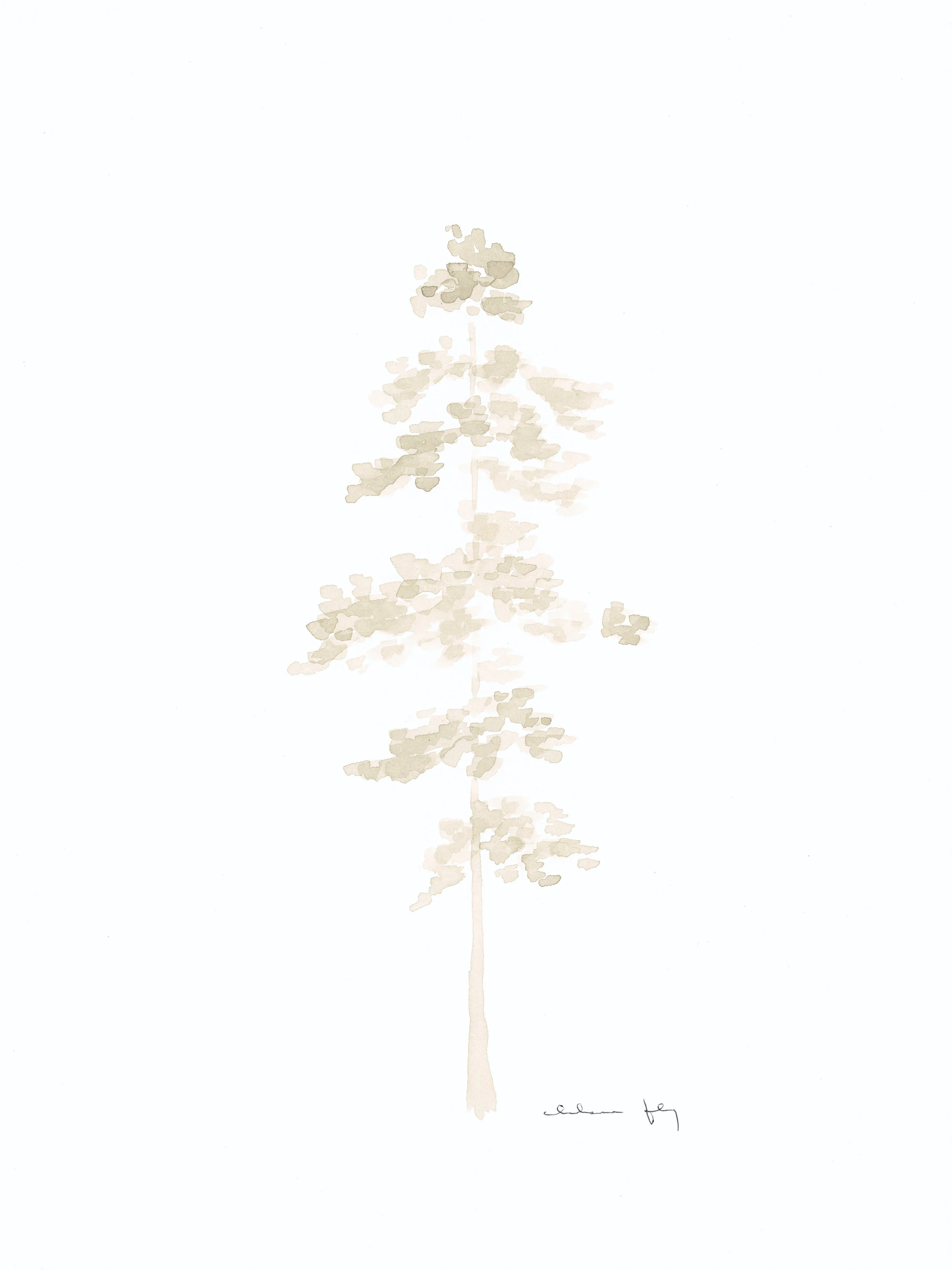 Fly 4-29_02 final.jpg