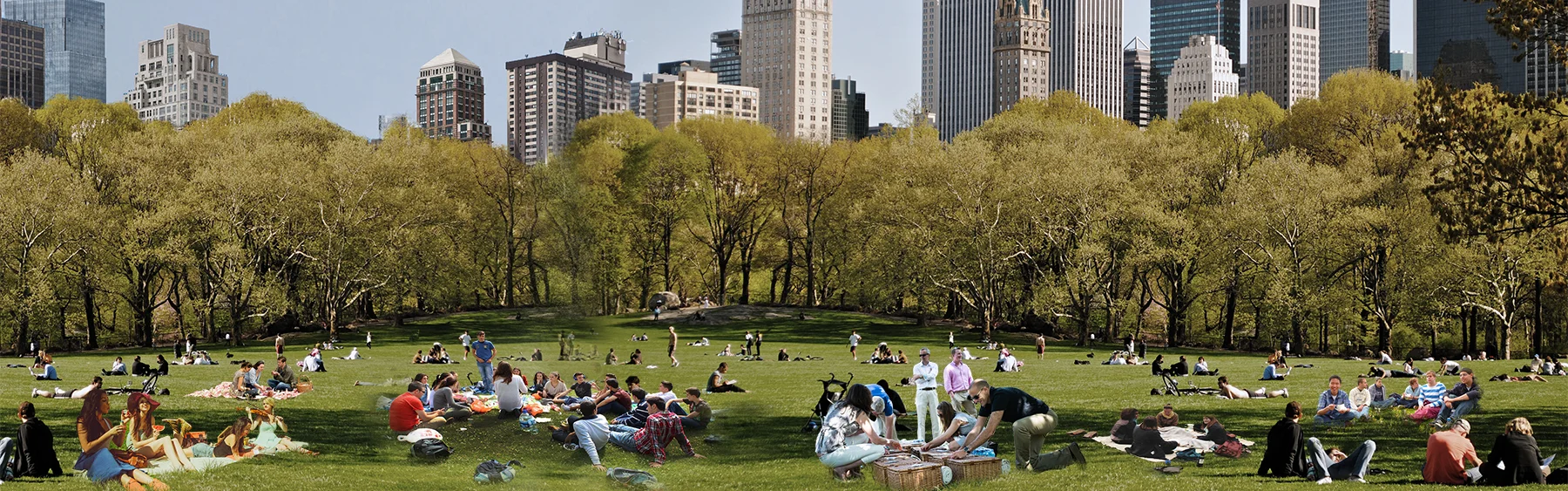collage-picnic-4.jpg