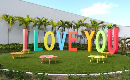 youngatartmuseum.org