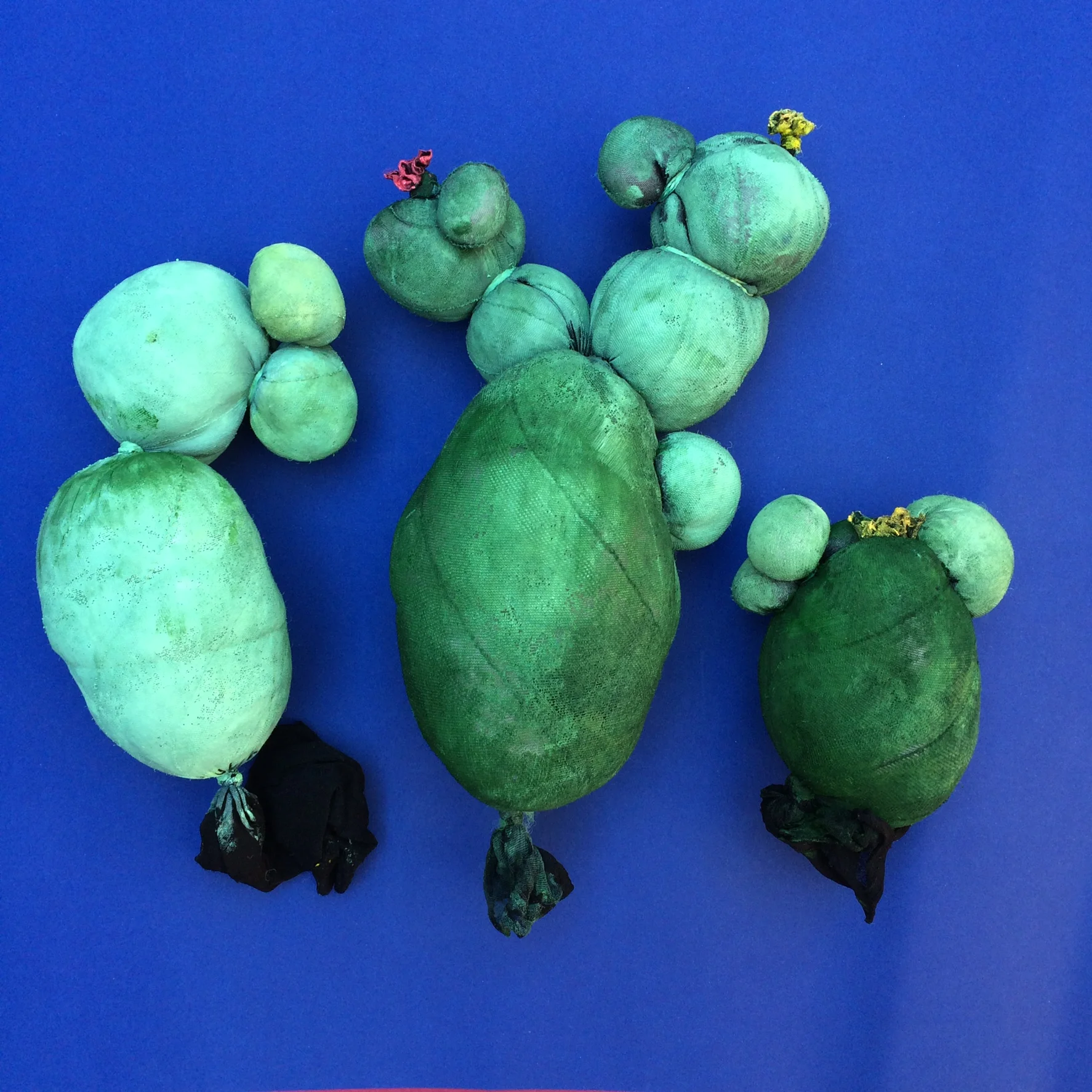 The Cacti on the left and right of this picture are made from one piece of stocking each, tied off in sections. The middle cactus has an additional section added to the side and tied on with an elastic band.