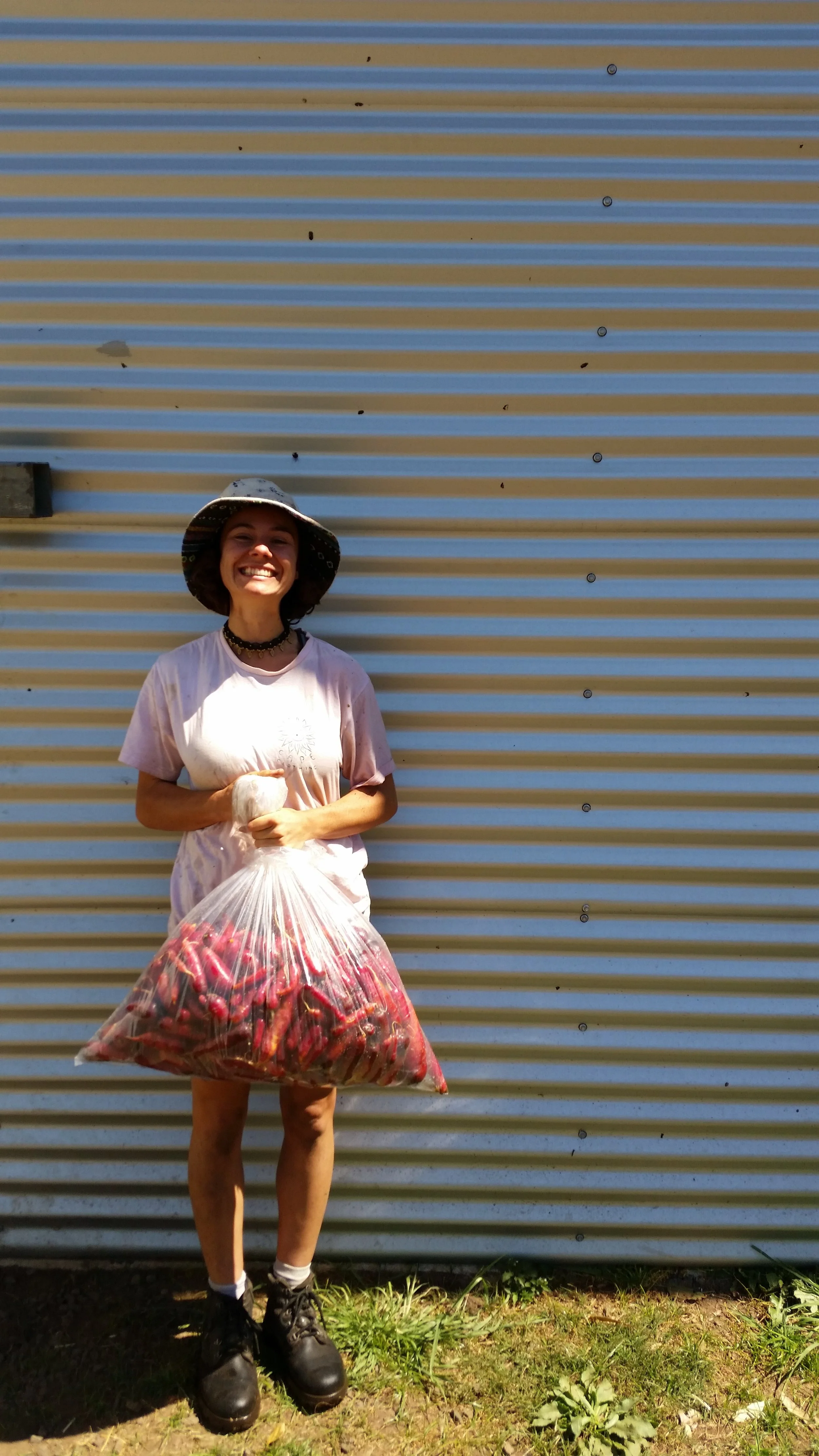 20170914_115927.jpg
