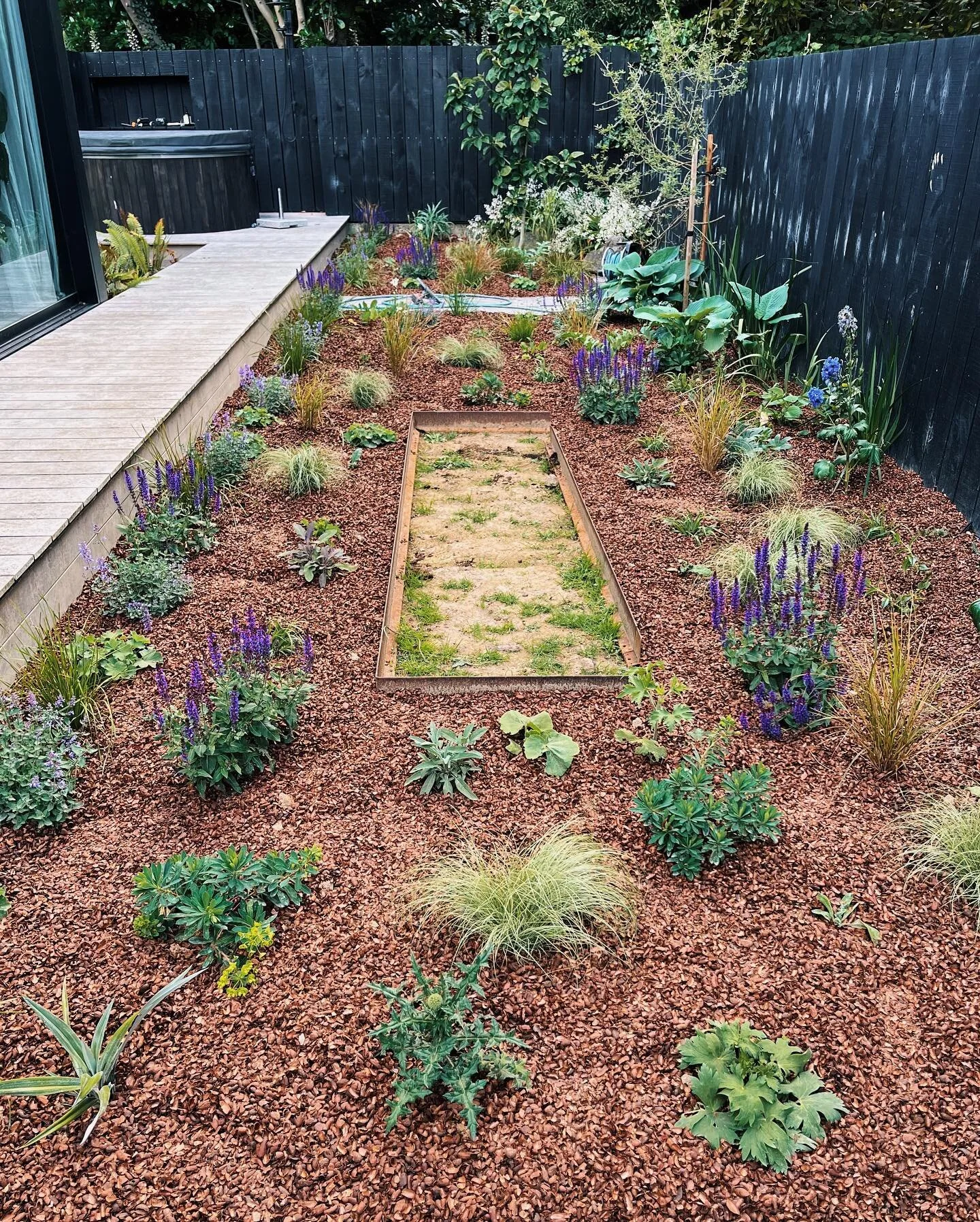An inner city garden courtyard with seasonal waves of colour, texture and year-round interest 🌱

Repeat bloomers, long-season perennials, and grasses form the backbone of the garden. Summertime sprays of deep purple, lime green and blue will give wa