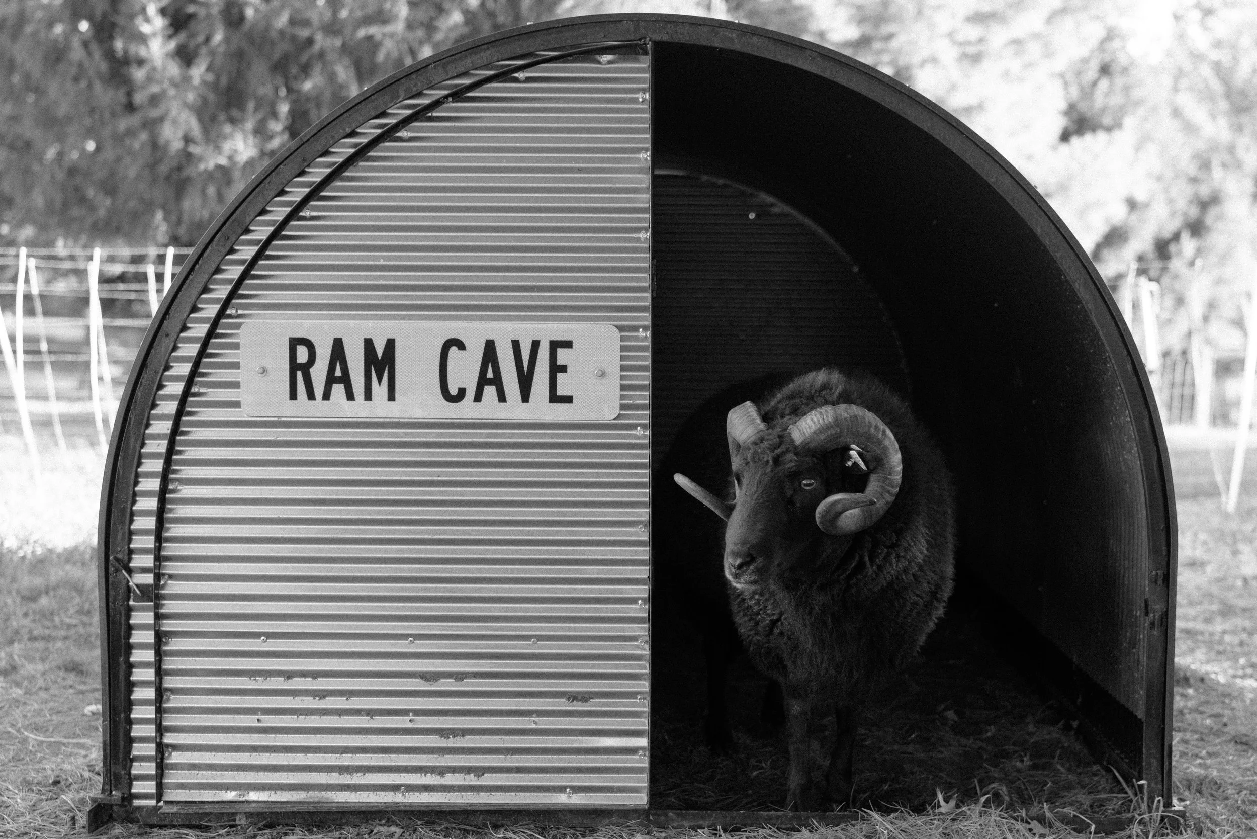 Ram Cave
