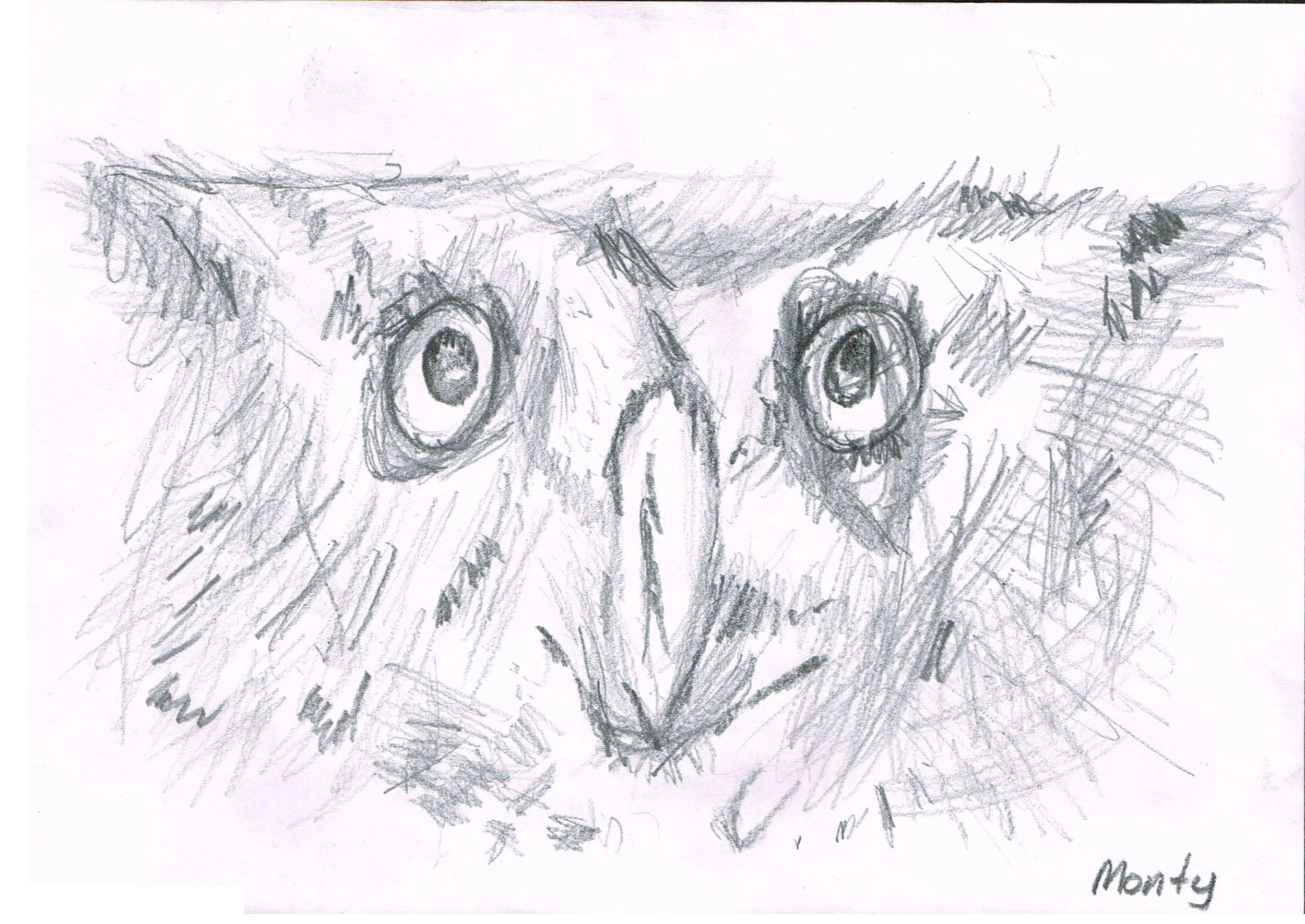 monty_owl.jpg
