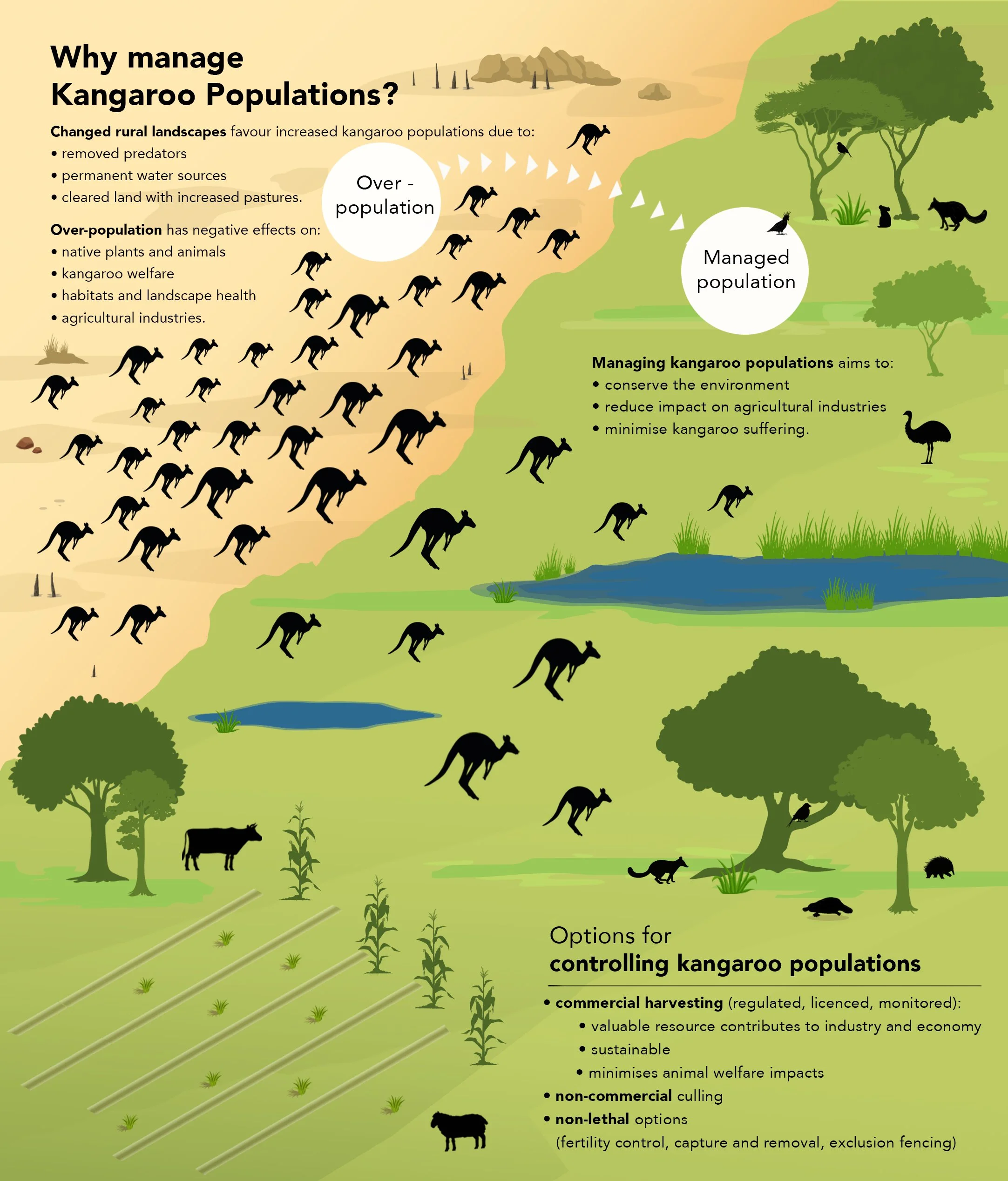 infographic_data_sheet_1_with headline.jpg