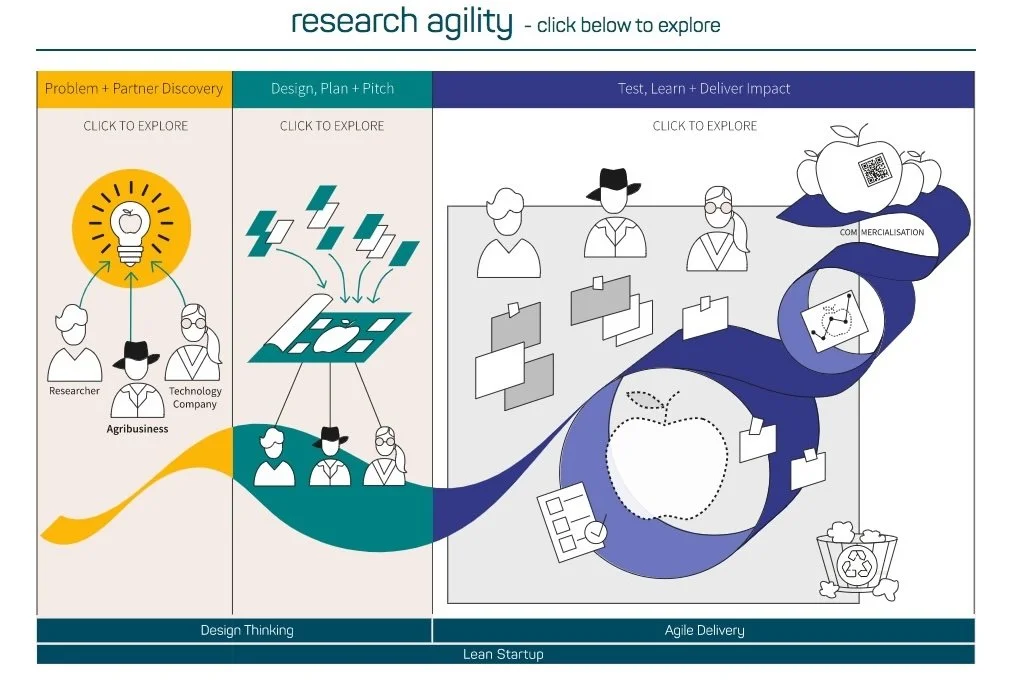 03_how we work copy.jpeg