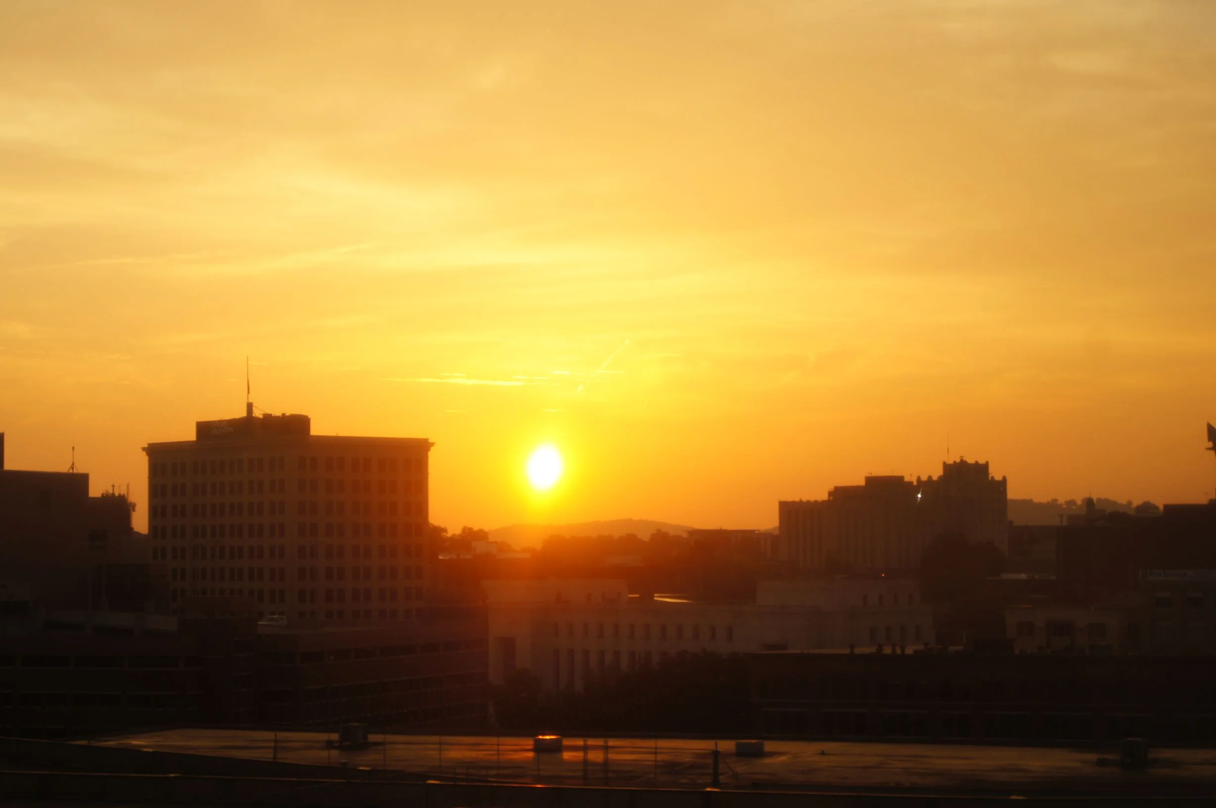 DSC00041 - Copy.jpg