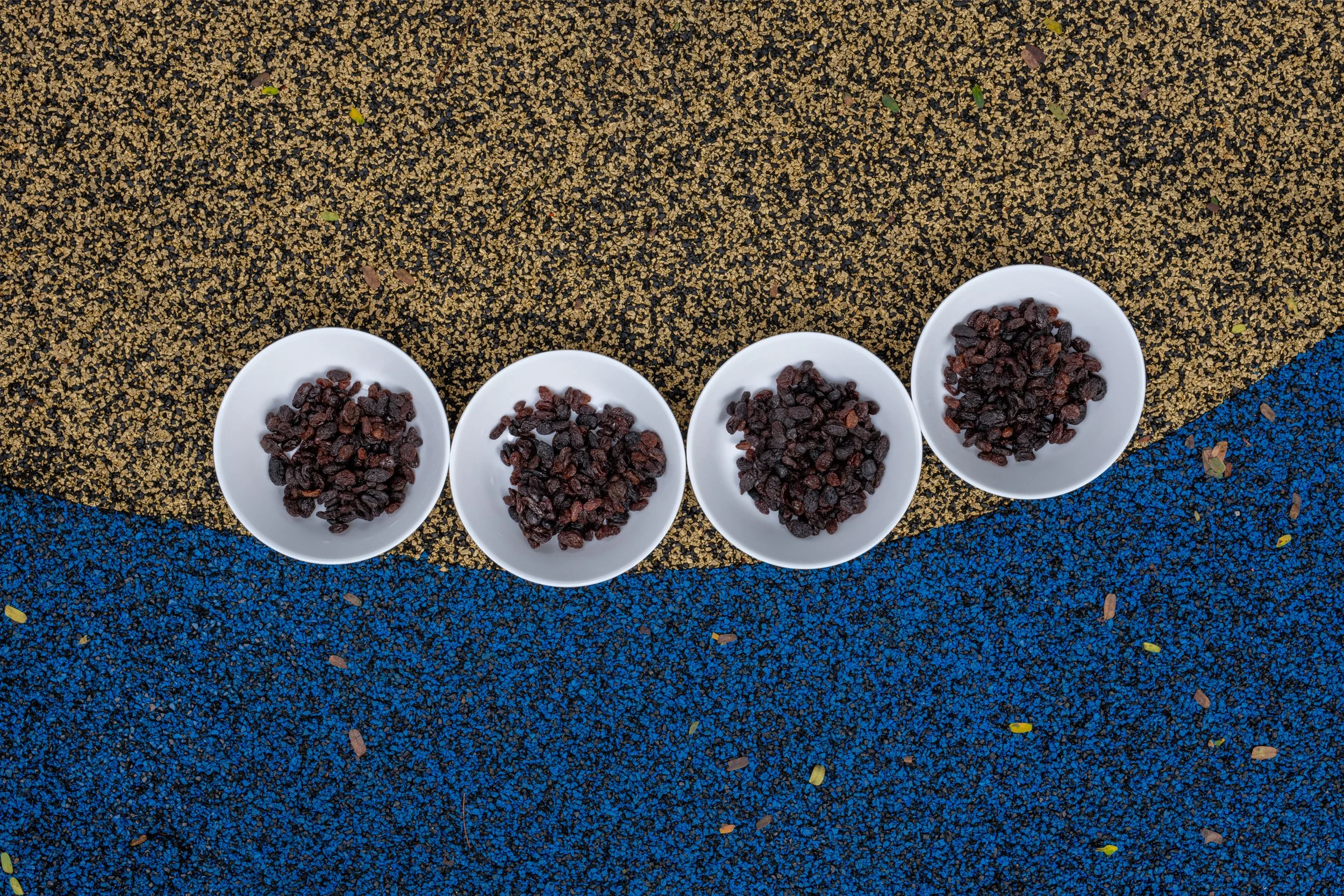 WEB_ESC_5610-HDR.jpg