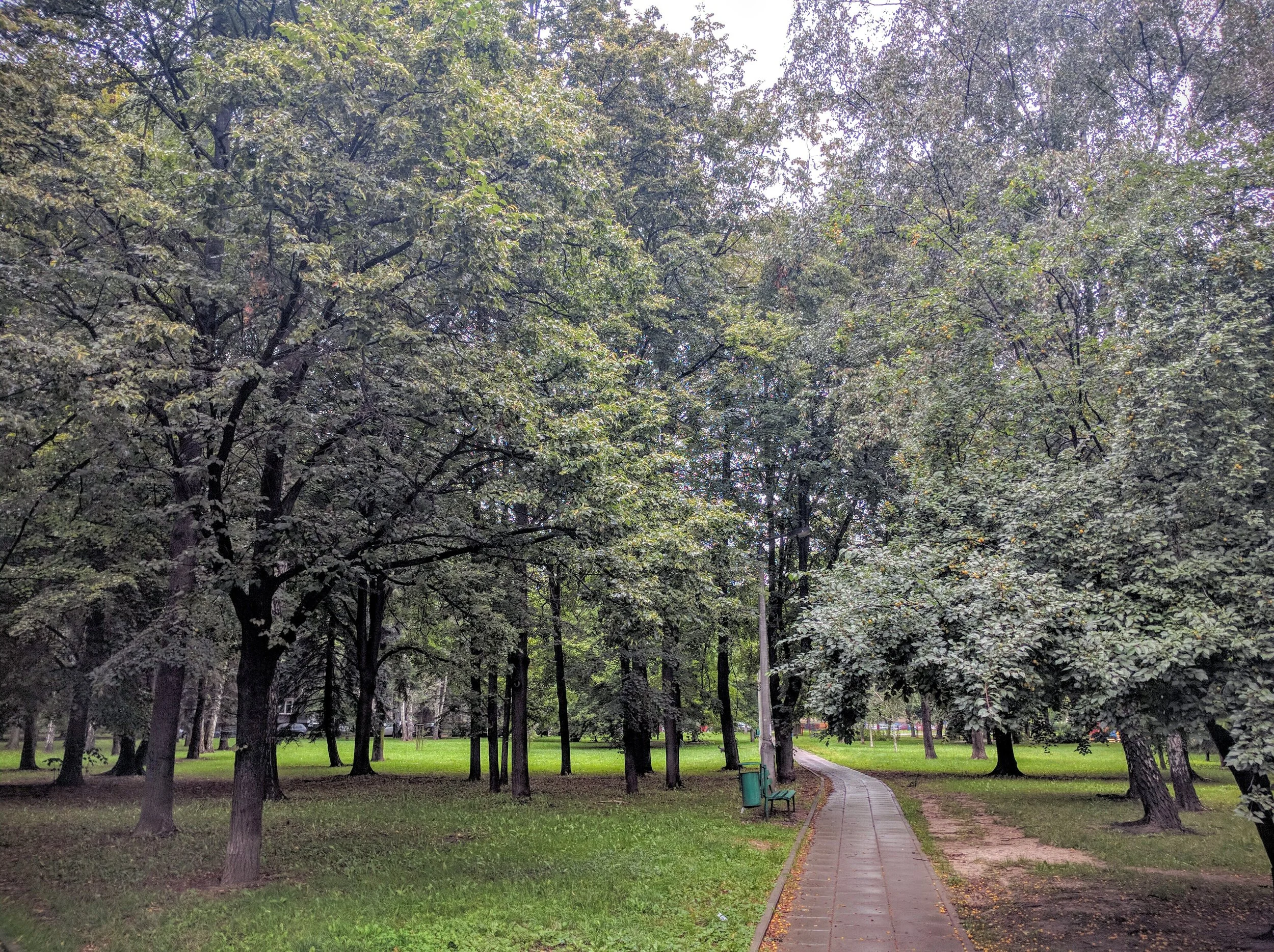 One of the many nice parks all around.