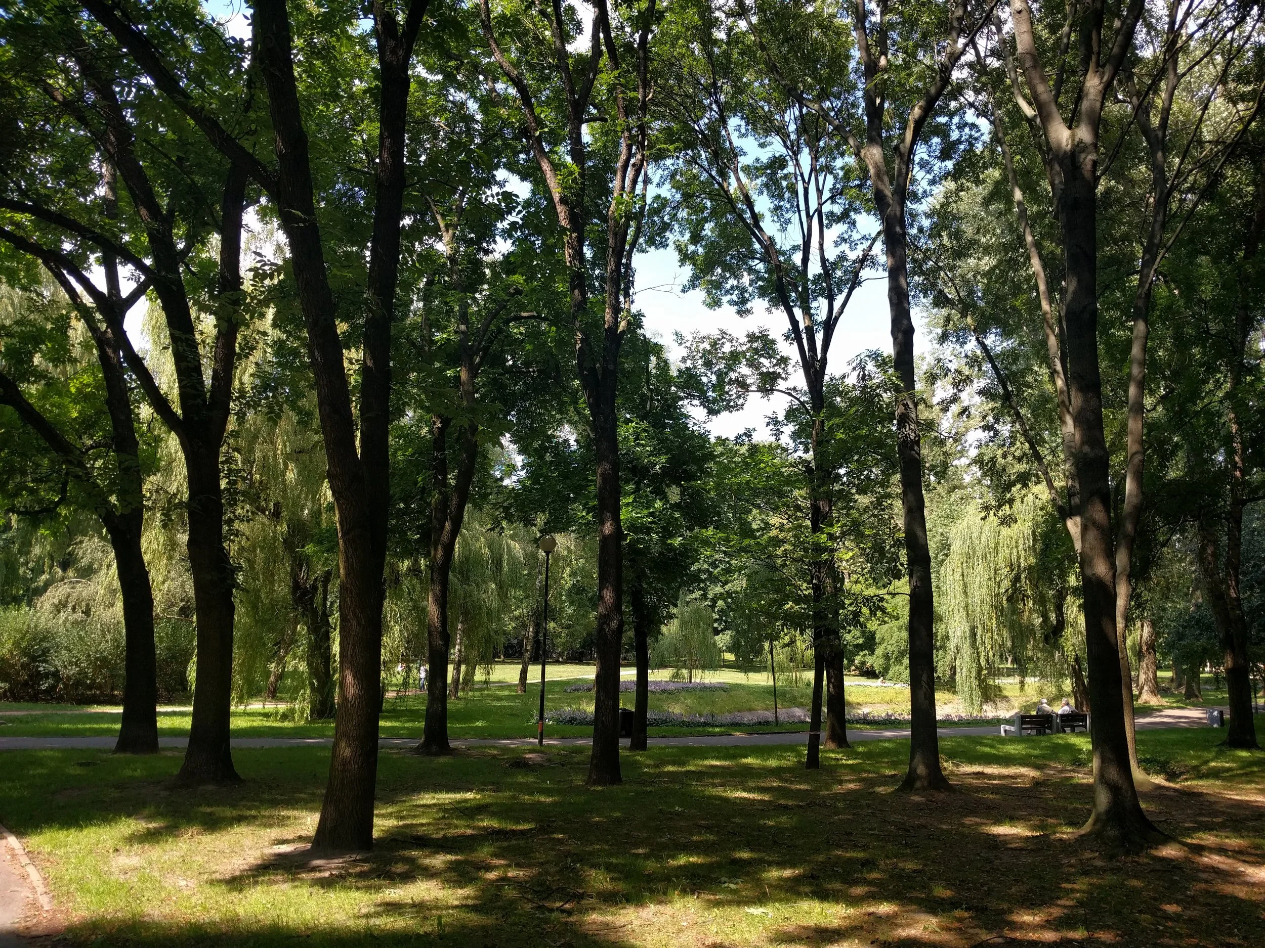 The Parks
