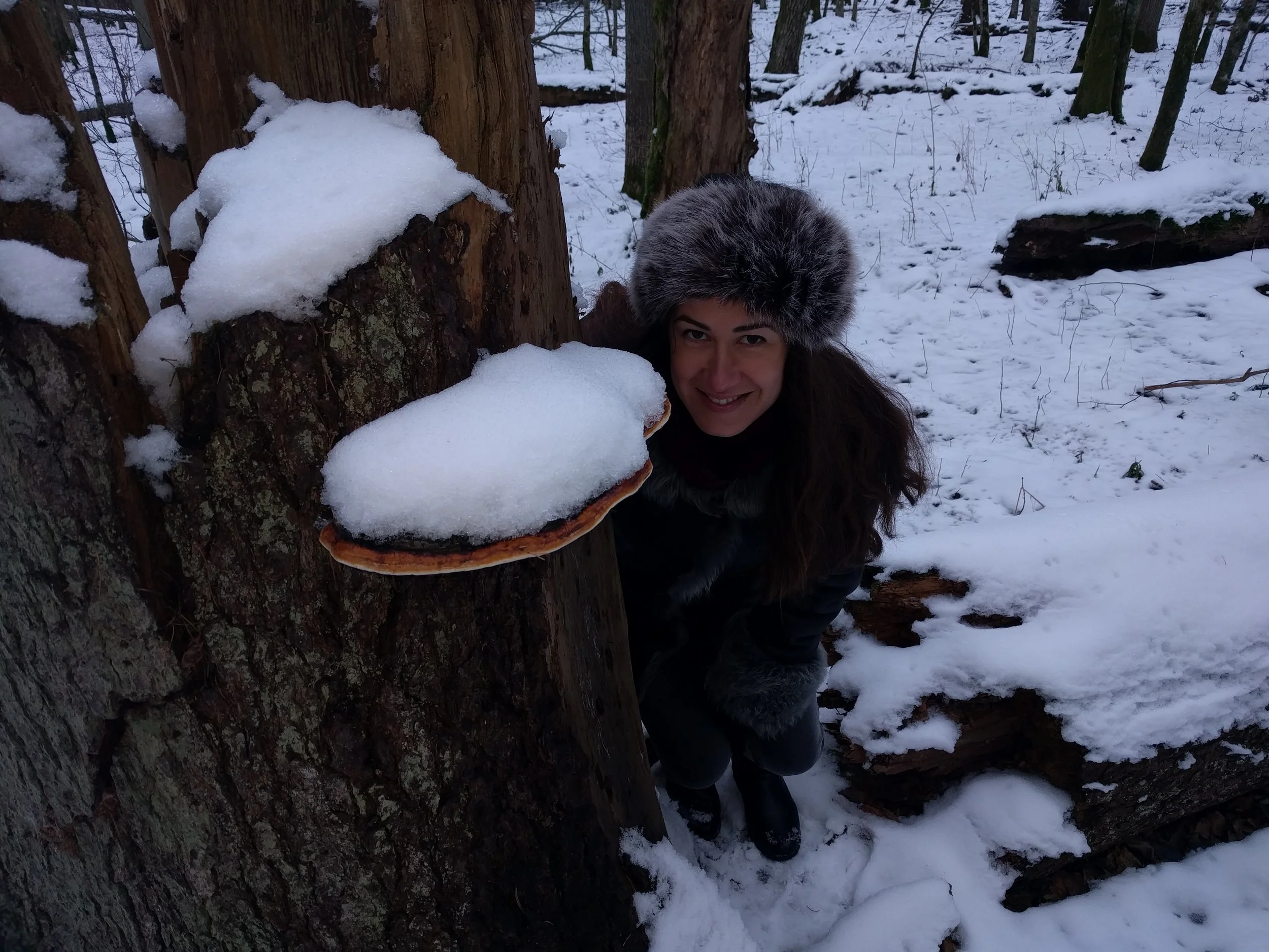 A forest gnome hiding behind a mushroom.