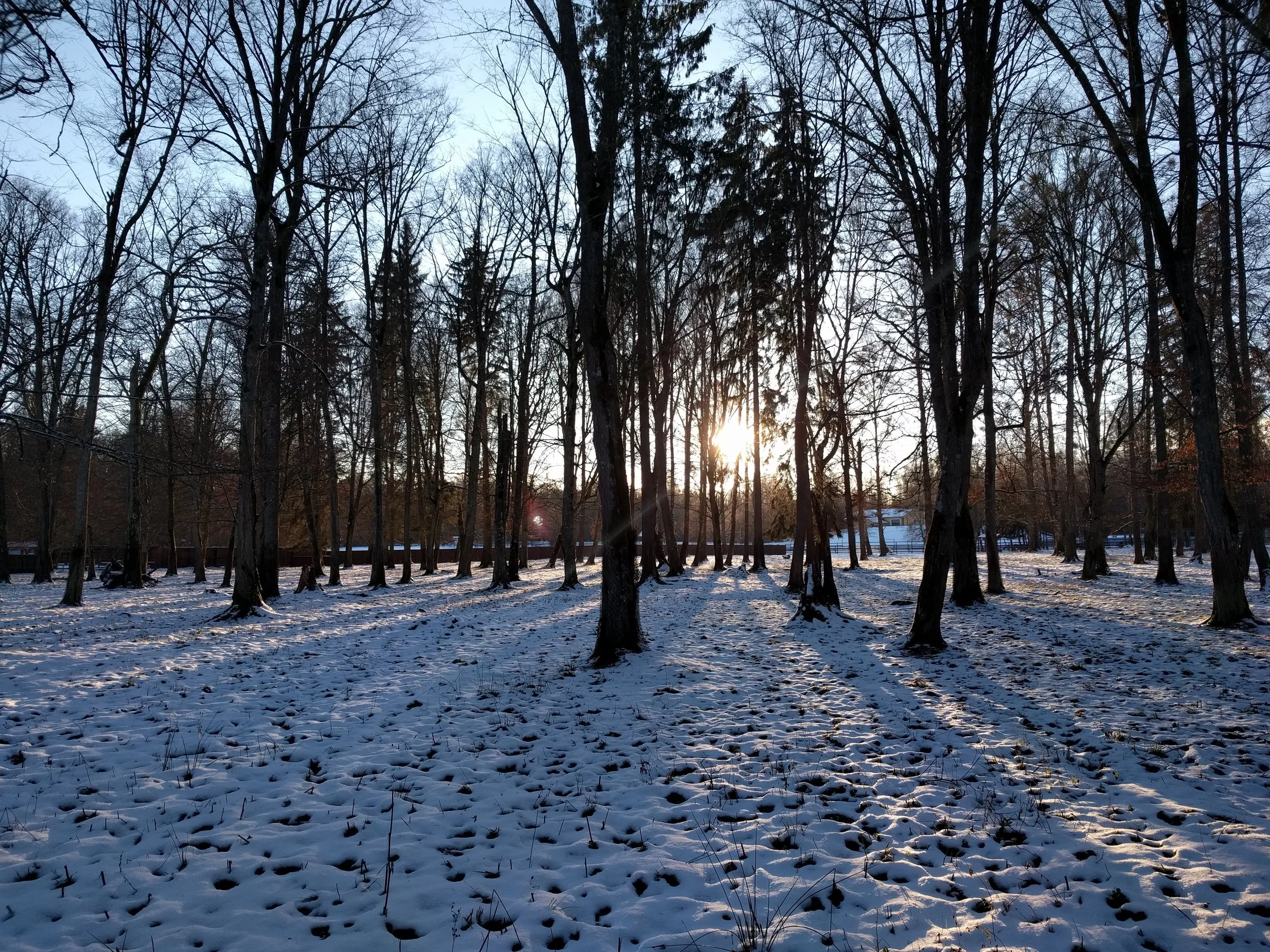 Sunset at 3 PM in the nearby wildlife park.