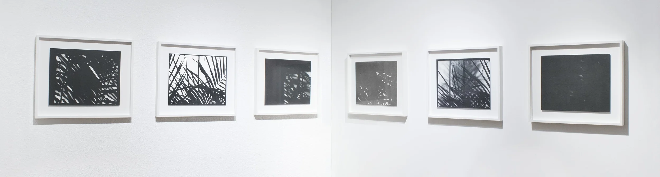 james-bertucci-b-minus-studios-install-small.jpg
