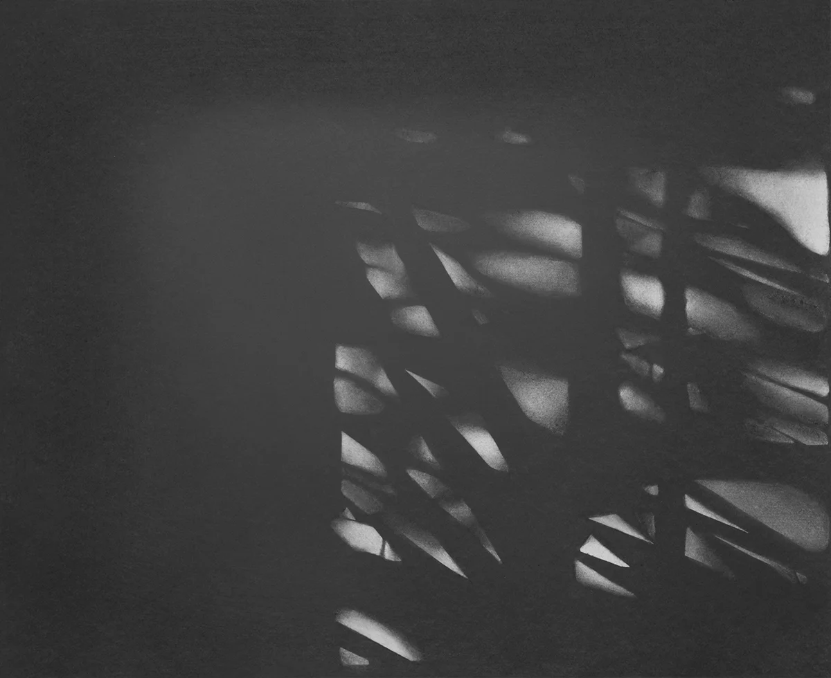 Untitled , 2016, graphite on mounted paper, 20 x 16.25 in.