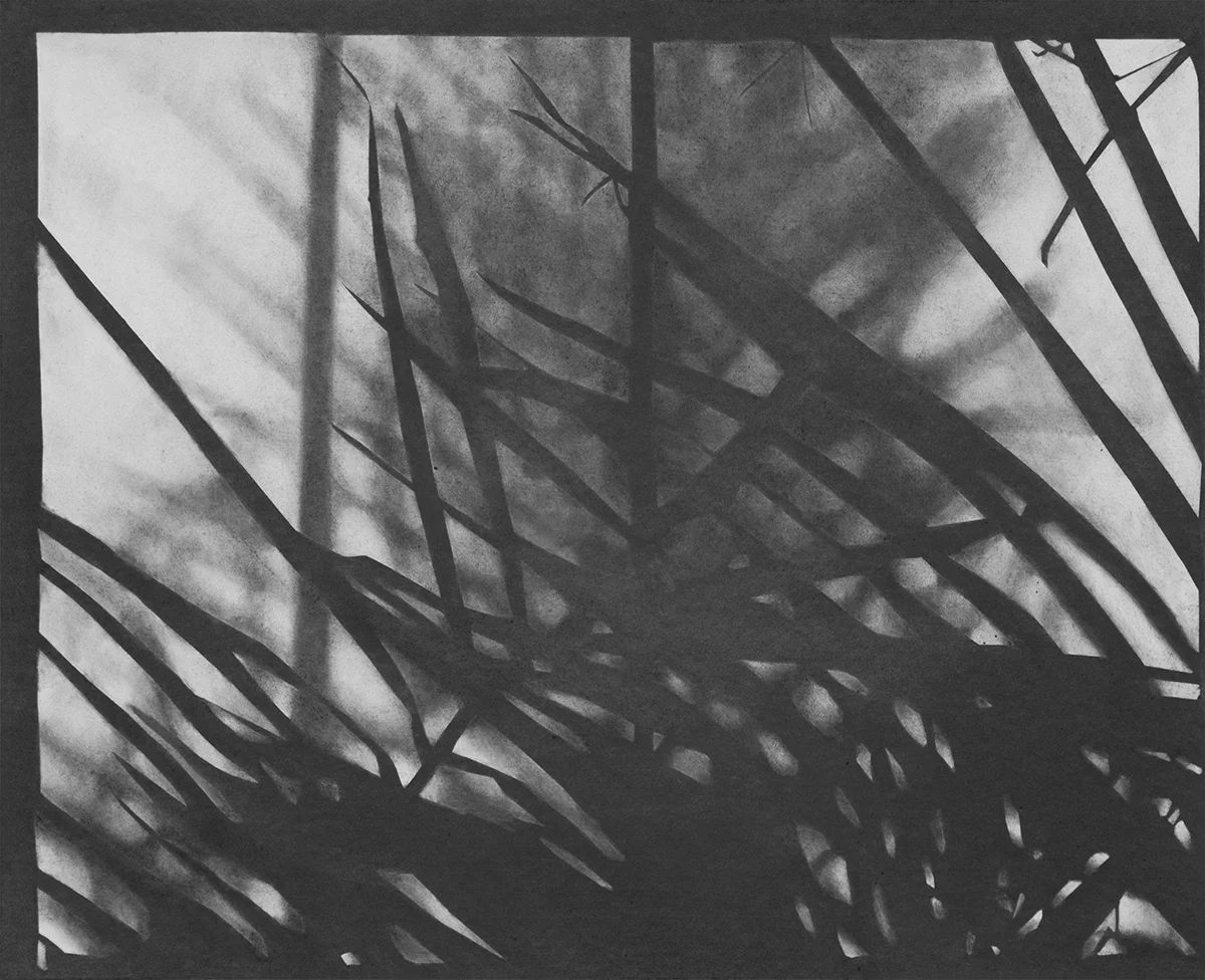 Untitled , 2016, graphite on mounted paper, 20 x 16.25 in.